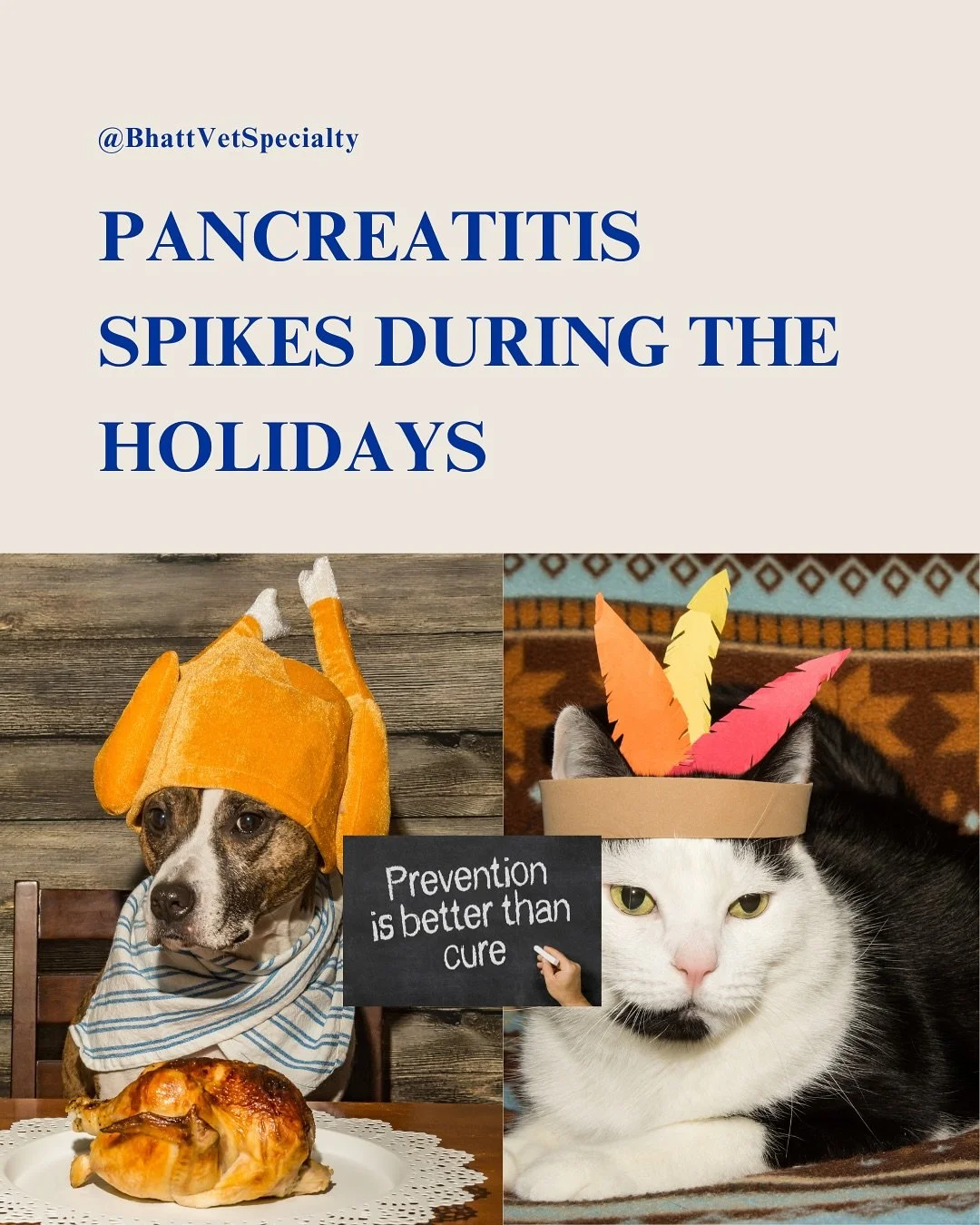 THANKSGIVING PSA. Prevention is better than cure.

We love seeing your pets, but we don&rsquo;t love seeing them suffer. Prevention is better than cure! This to spread awareness to everybody who is around cats and dogs during the holidays - do not fe