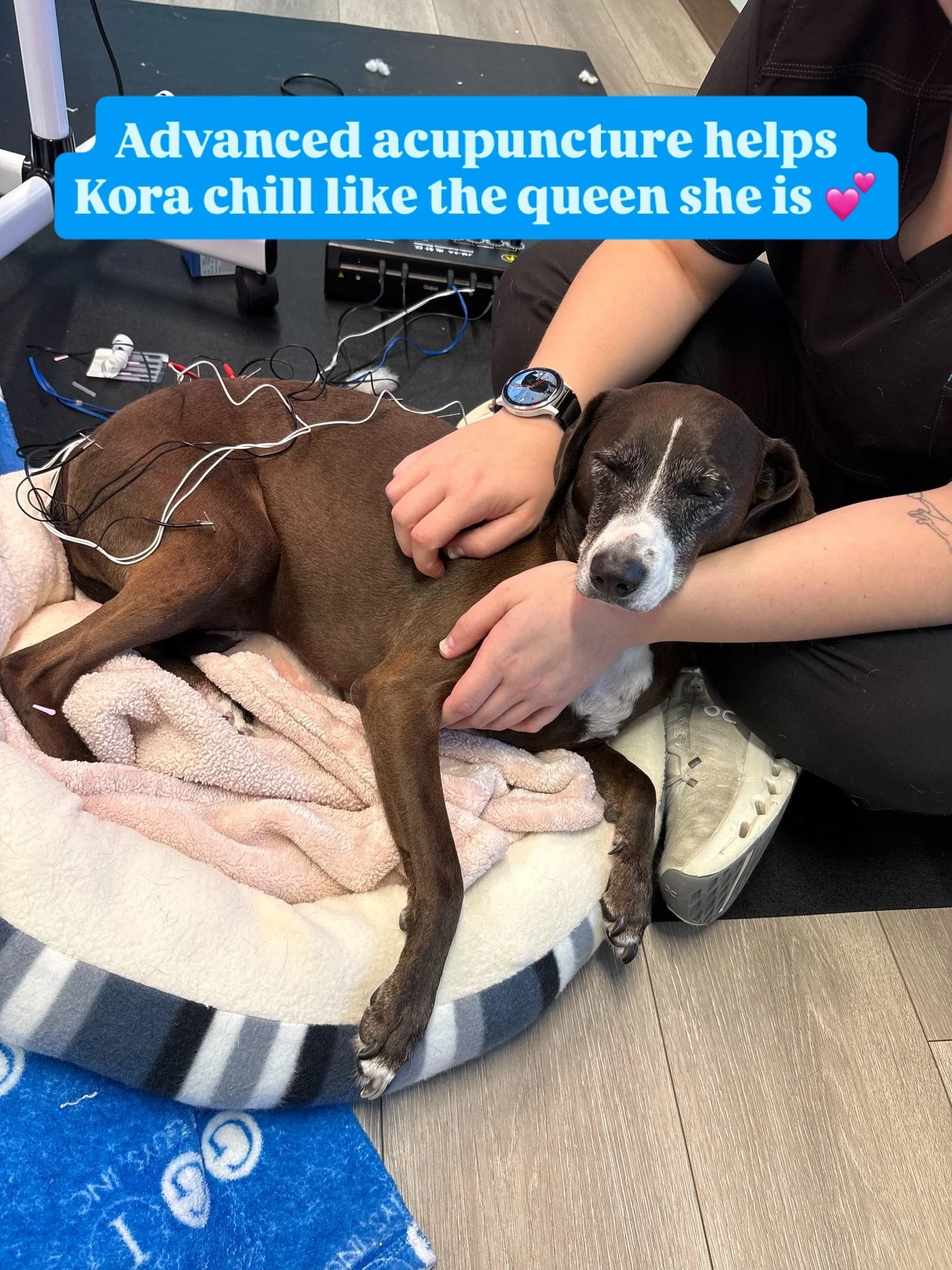 Kora is mid-session in advanced acupuncture with Tori by her side, watching every signal, every breath, every small release. You can see it in her face. That moment when calm meets healing.

Advanced acupuncture includes different techniques such as 