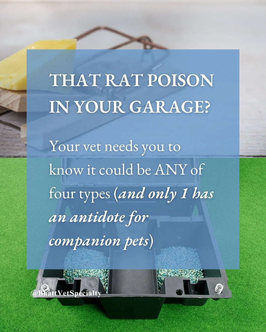 Not something discussed widely concerning companion animals, but something we need to put out there to raise awareness - rodent poison in homes and the hazards to dogs and cats. Pet parents, please pay attention if you use this stuff In your home, ga