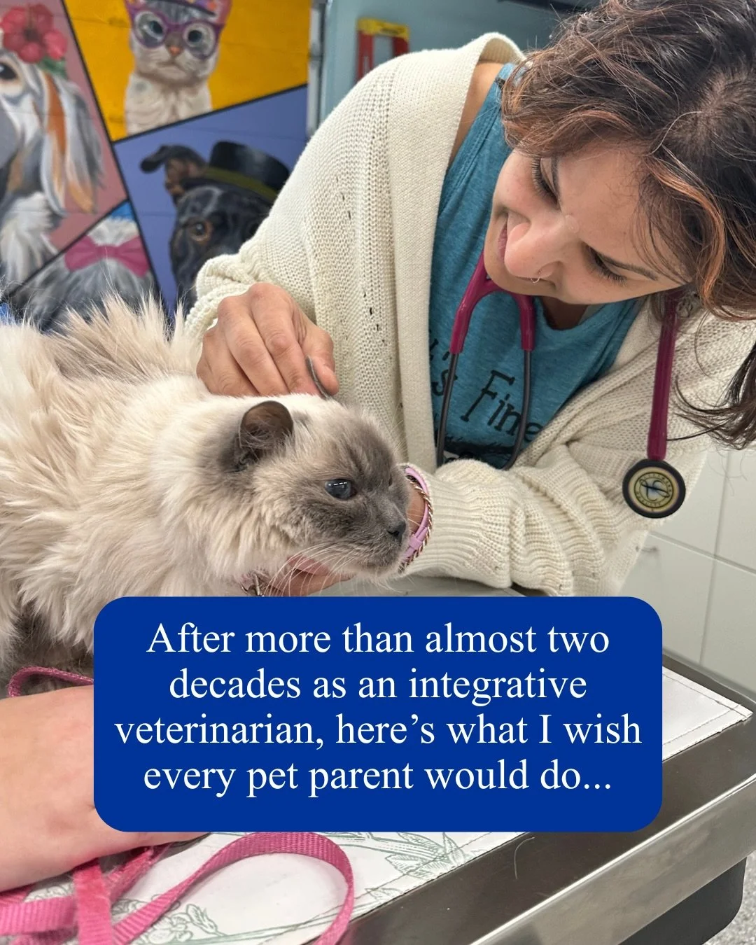After almost twenty years practicing integrative veterinary medicine with an expertise in Traditional Chinese Veterinary Medicine, I wish that pet parents will do these minor things to improve their pets health.

Pets are underhydrated.
Teeth are neg