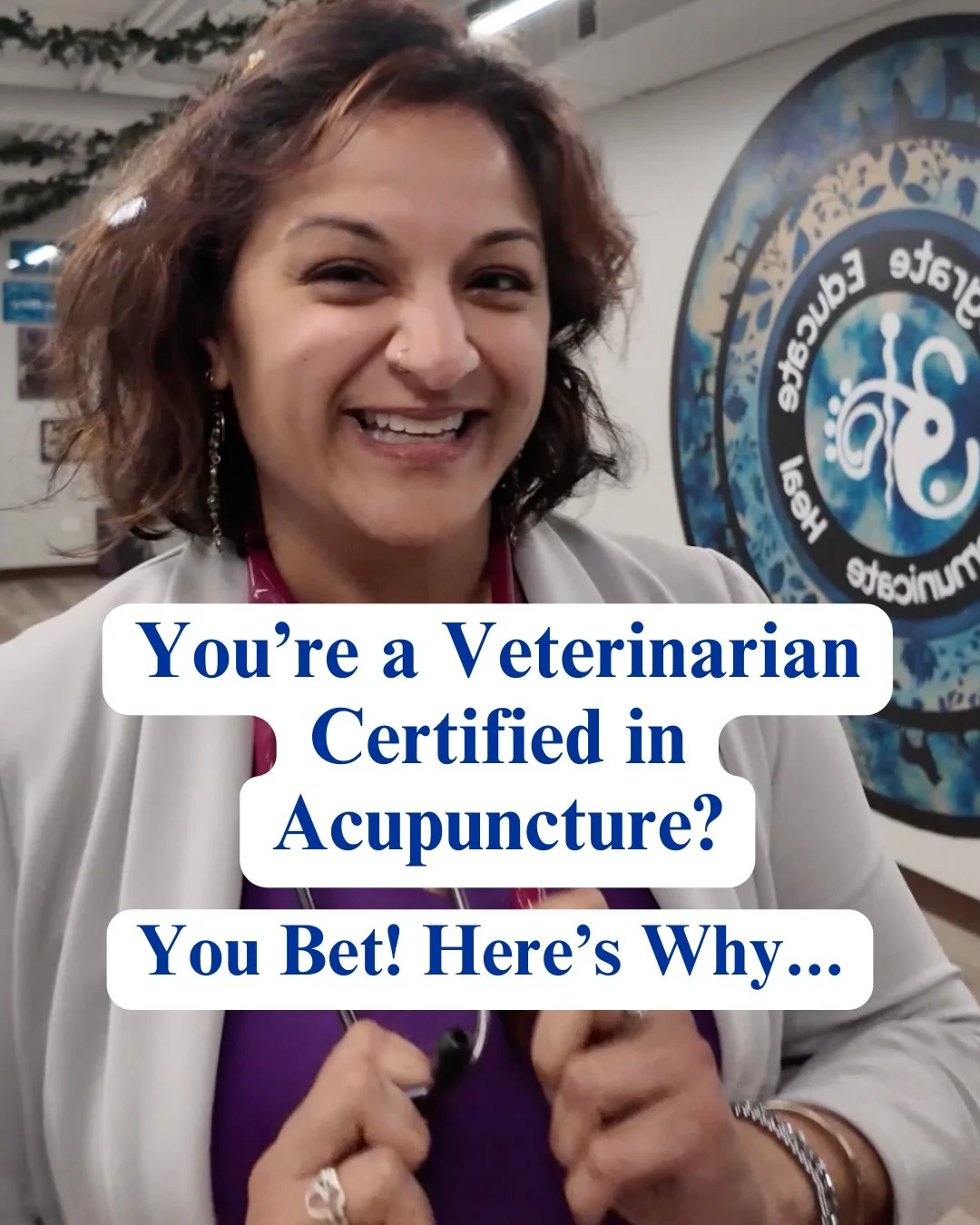 Most people think acupuncture is only for pain.

I hear that all the time.
And it is not true.

I practice advanced acupuncture as part of integrative veterinary medicine. Integrative means I do not skip steps. I include diagnostics. Lab work. Imagin