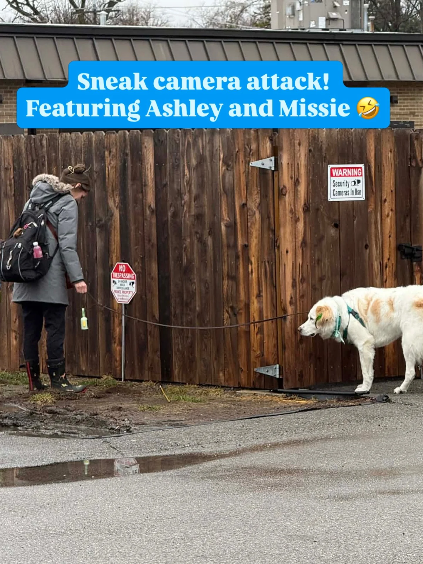 When life hands you a moment&hellip; you take a picture!

Ready for a sneak attack photo? 

This week, we got Ashley (our Lead Patient &amp; Surgery Coordinator)! She was caught playing in the mud while waiting on her doggo, Miggy, to finish his busi