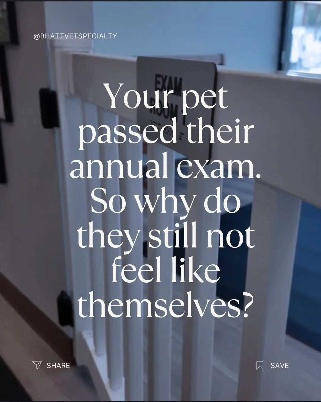 Your pet passed their last exam. Bloodwork normal. Vet said everything looks fine.

So why does something still feel off?

That gap has a name in integrative veterinary medicine. And it&rsquo;s where we do some of our most important work.

Standard w