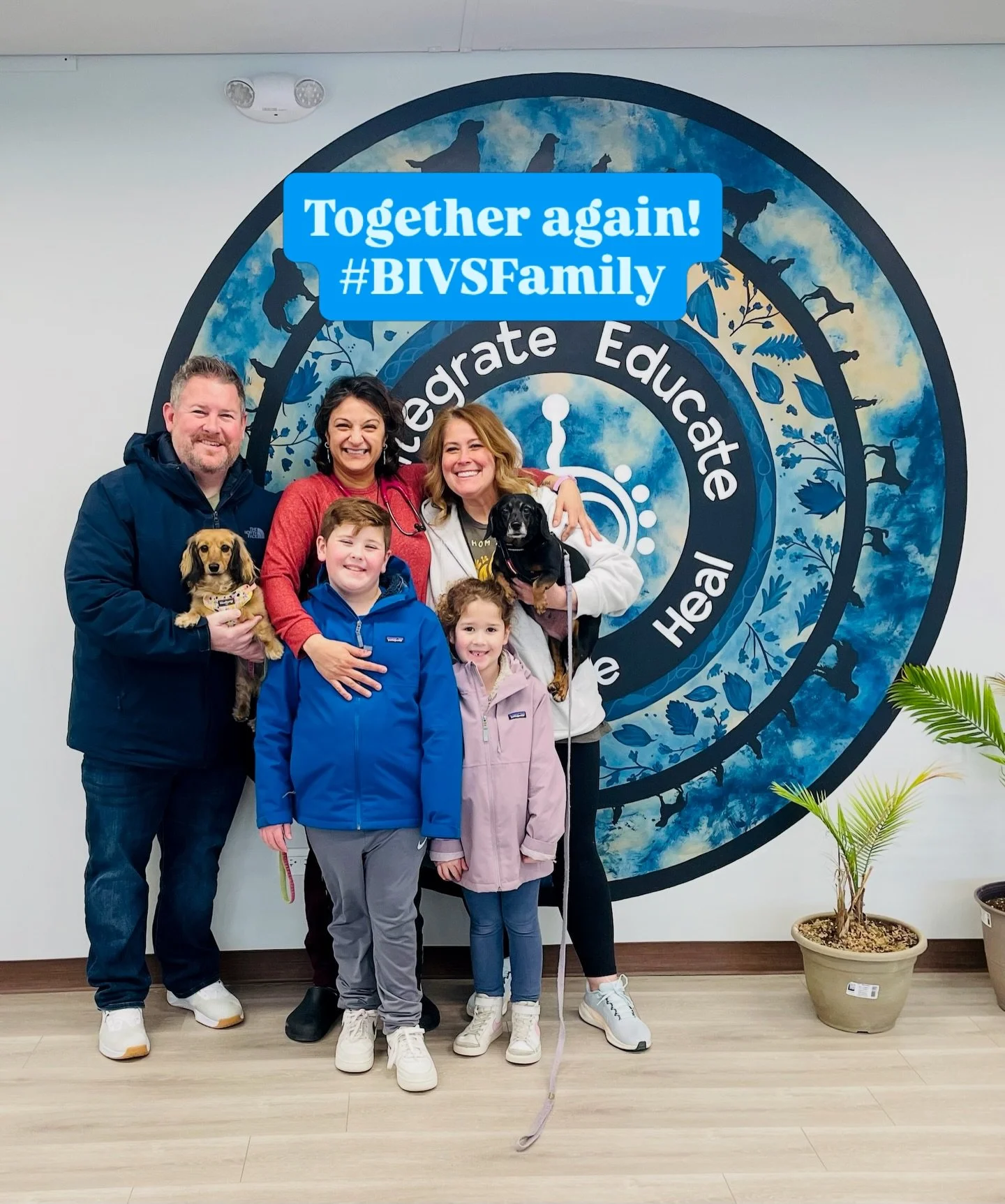 When we say the &ldquo;BIVS family&rdquo;, we mean it.

Some of our clients drive far. Not because they have to. Because they want this kind of care. This family came from Crown Point, Indiana with their two pups, and they keep coming back.

That say