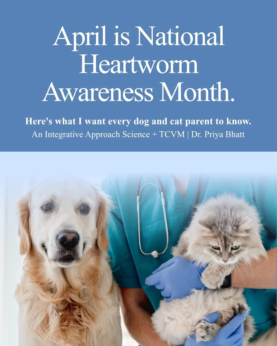 It&rsquo;s National Heartworm Awareness Month, and I want to talk about something that affects dogs and cats, even indoor ones, even here in Illinois.

Most people know heartworm is serious. Fewer know that cats can get it too, that there&rsquo;s no 