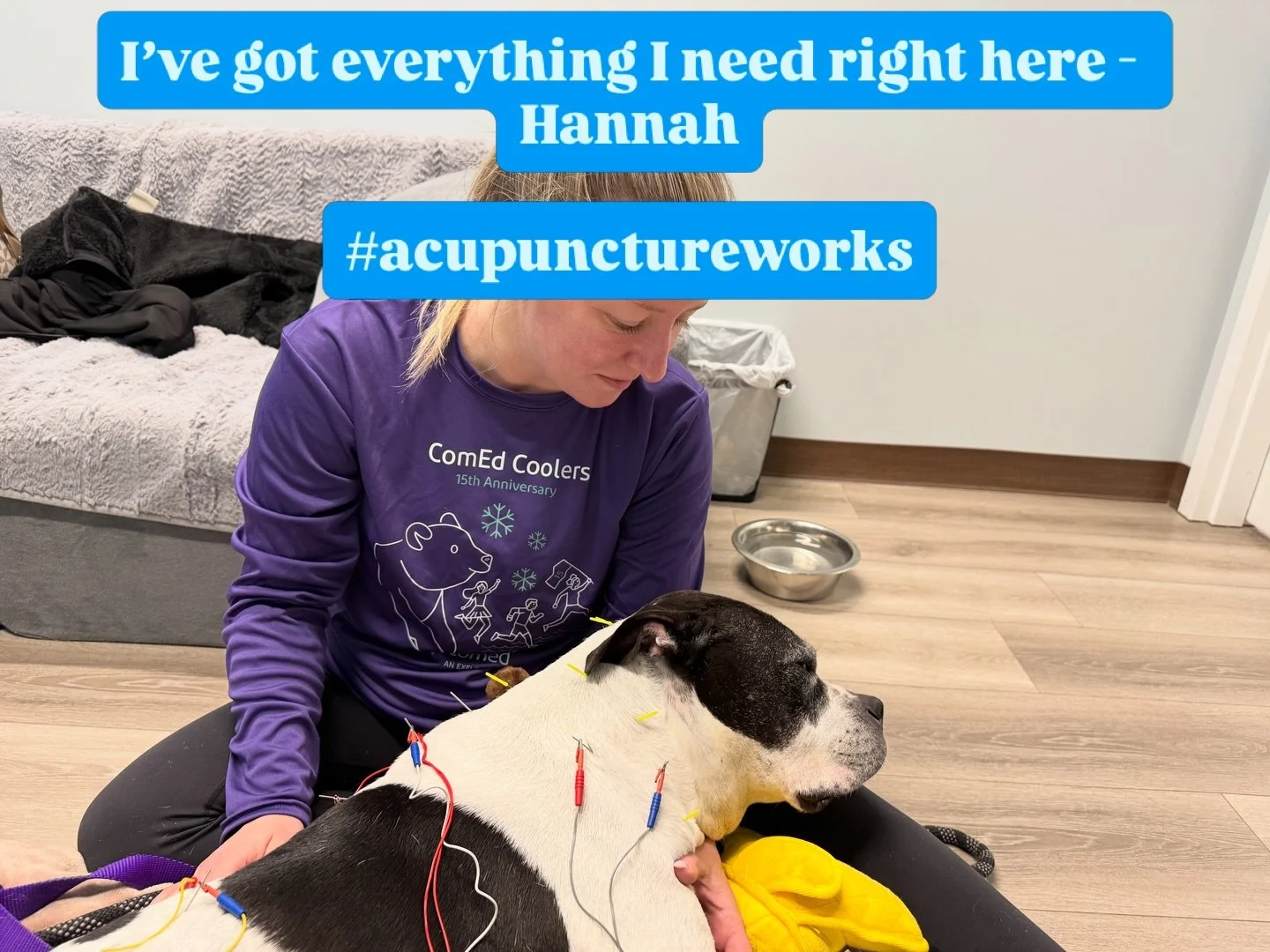 Emotional support stuffie on standby. Mom on the floor giving all the cuddles. All hooked up. Eyes closed.

That&rsquo;s a 10/10 visit right there.

Electroacupuncture uses tiny electrical pulses through the acupuncture needles to help relax muscles 