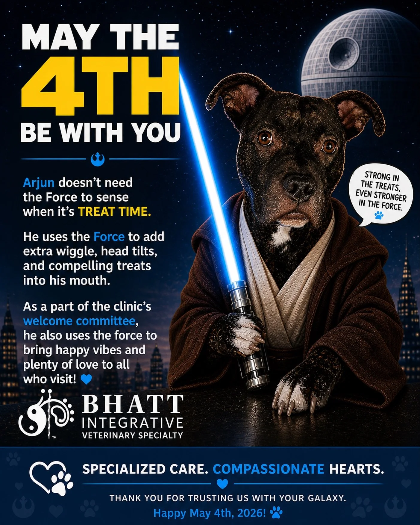 Well, of course we&rsquo;ve got our own Jedi knight! Did you expect anything less?

Arjun, our in-house Jedi. 

Treat expert. Tail always in motion. Watching everything, especially snacks.

You might notice his skills right away. The way he appears t