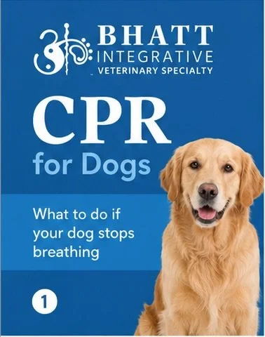 If your dog collapsed right now, would you know what to do?

Most pet parents don&rsquo;t. And in a real emergency, that gap can cost precious minutes.

Here&rsquo;s what current veterinary guidelines actually say about dog CPR &mdash; so you&rsquo;r