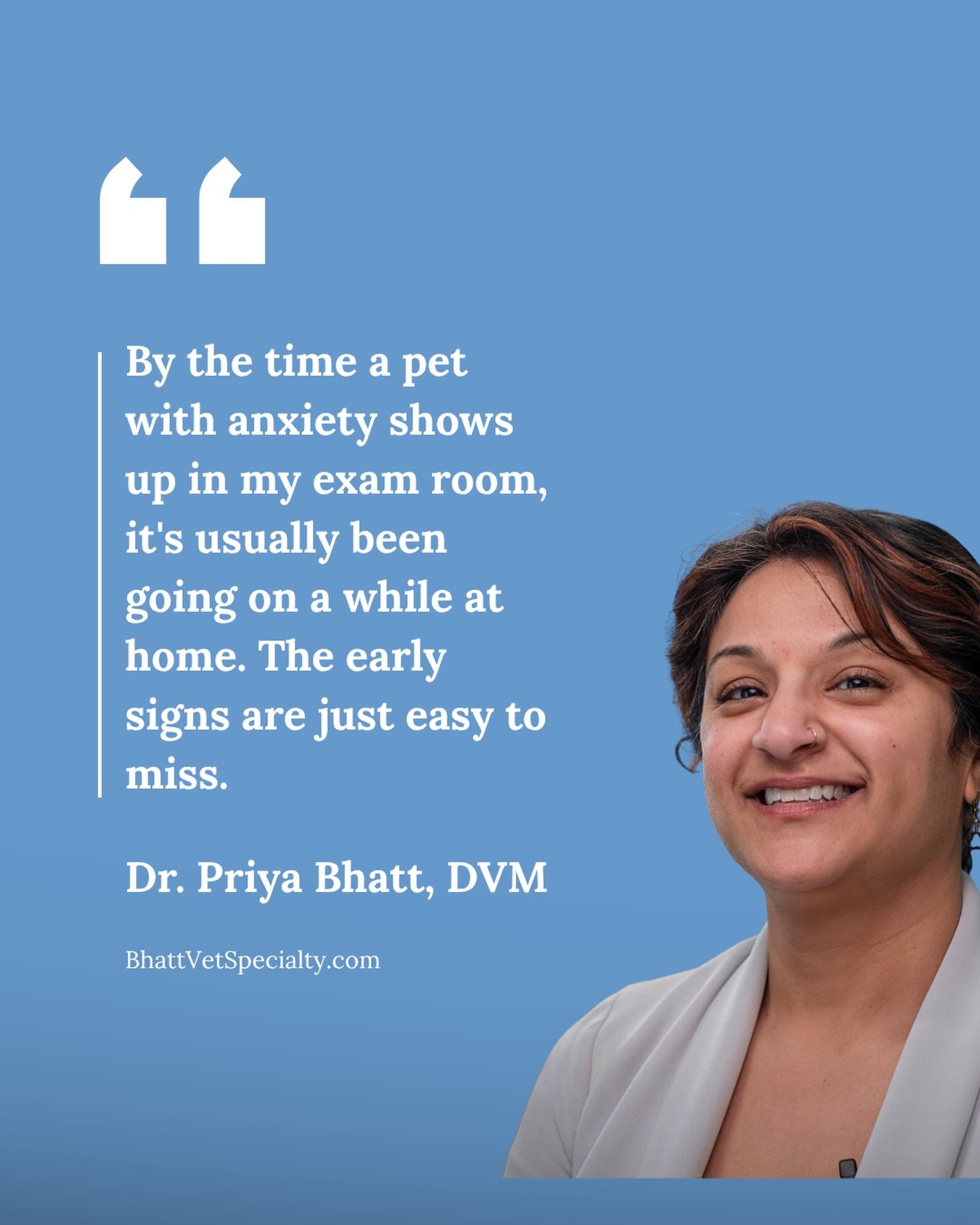 This is timely since your pets just dealt with 4th of July celebrations. How are they doing? 

Dr. Bhatt has been treating more anxiety in pets than she used to, even before the holiday. A recent Texas A&amp;M study helps explain why it&rsquo;s worth