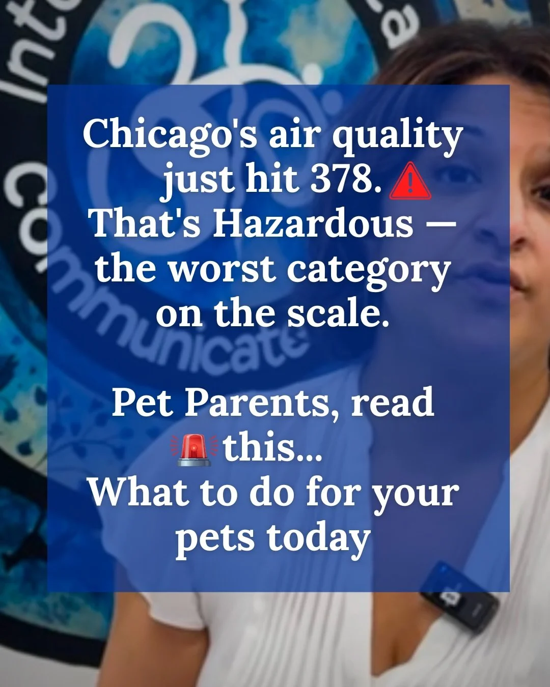 We are giving you some tips on how to manage your pets during this very hazardous air quality and heat alert in Chicagoland. 

Scroll through to find if it is helpful to you - we&rsquo;re guessing our bonus tip to help your pets stay indoors without 