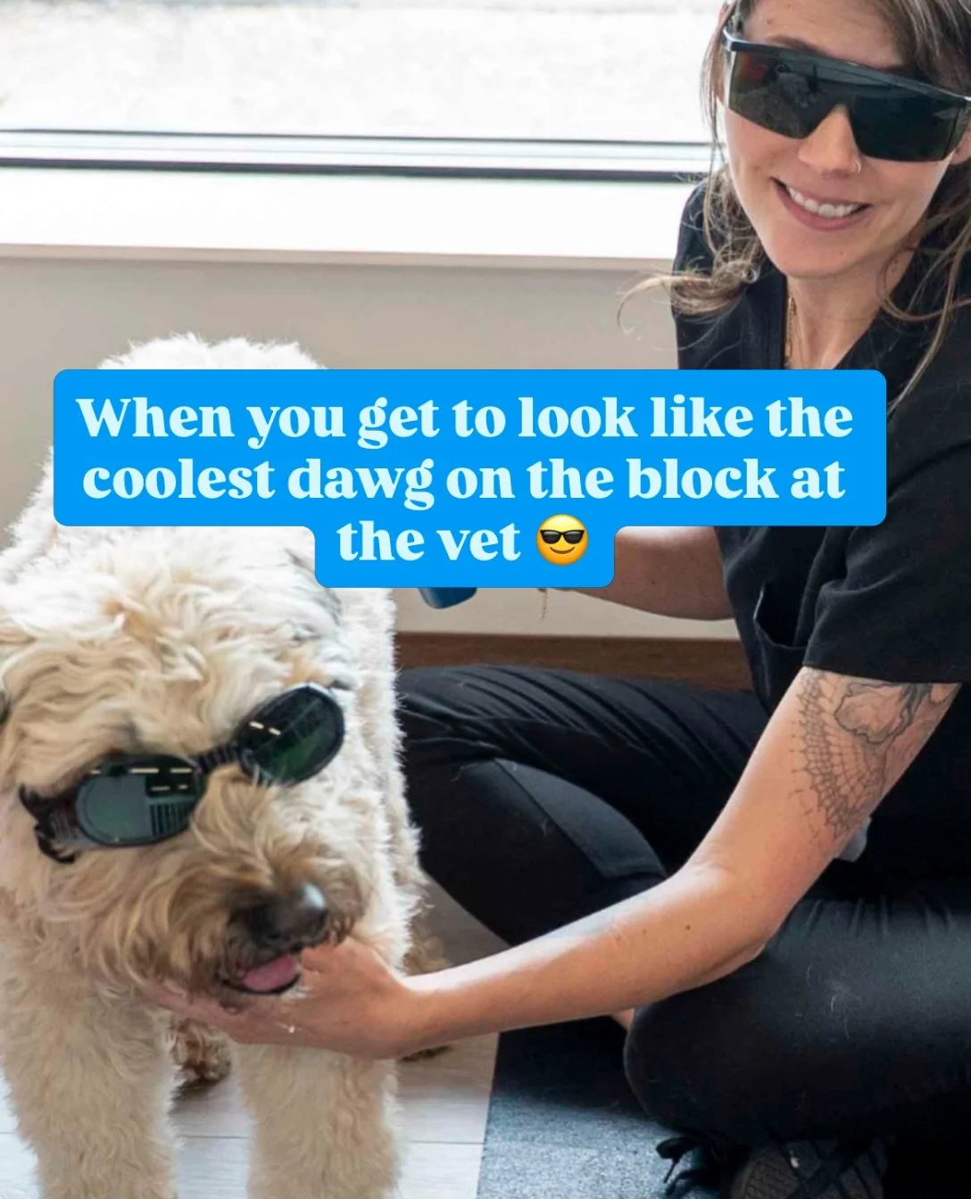 Nobody tell this pup those doggles are for protection and science, not just swagger.

This is laser therapy, aka photobiomodulation, and it&rsquo;s one of our favorite tools for calming inflammation, easing pain, and speeding up healing in joints, wo