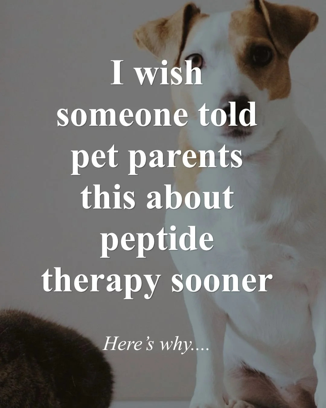 Peptide therapy for dogs is one of the newer tools in integrative veterinary medicine, and we&rsquo;re now offering it at Bhatt Integrative Veterinary Specialty in Glenview.

Peptides are short chains of amino acids your dog&rsquo;s body already make