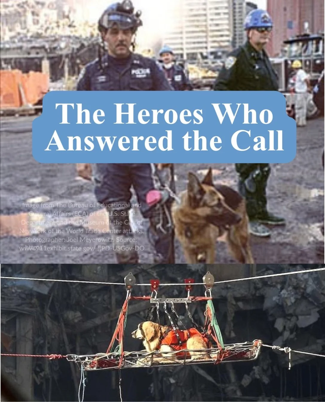 On September 11, 2001, tragedy struck three places: the World Trade Center in New York City, the Pentagon in Arlington, Virginia, and a field near Shanksville, Pennsylvania, where United Flight 93 crashed.

Hundreds of search and rescue dogs deployed