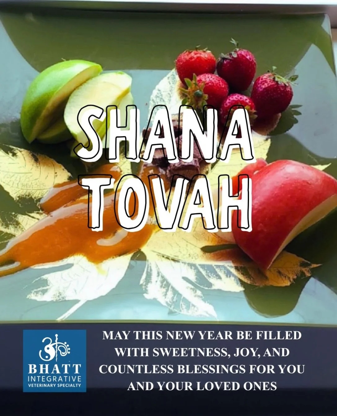 Shanah Tovah! 🍎🍯

Dr. Bhatt prepared this beautiful plate of apples, honey, and fruit to welcome Rosh Hashanah and the Jewish New Year.

To everyone celebrating, may the year ahead be filled with sweetness, peace, good health, and time with those y