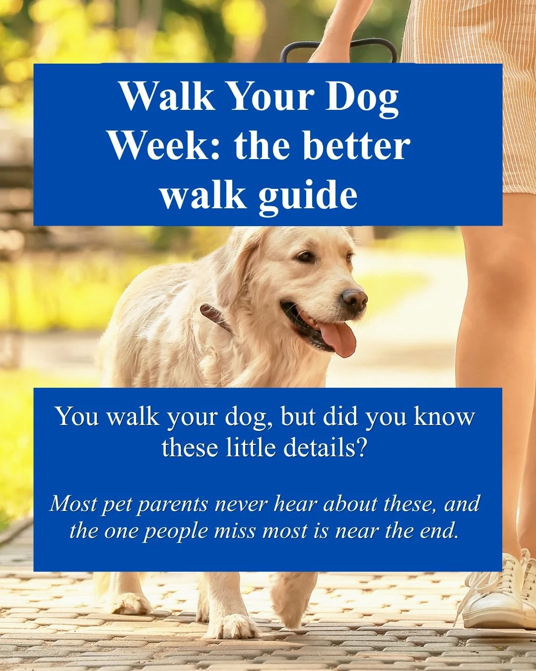 Your dog&rsquo;s daily walk is full of things you can&rsquo;t see: a puddle carrying bacteria, a lawn with fresh pesticide, a collar pressing on the neck every time they lunge at a squirrel.

We&rsquo;re skipping the obvious tips. Swipe for vet-backe