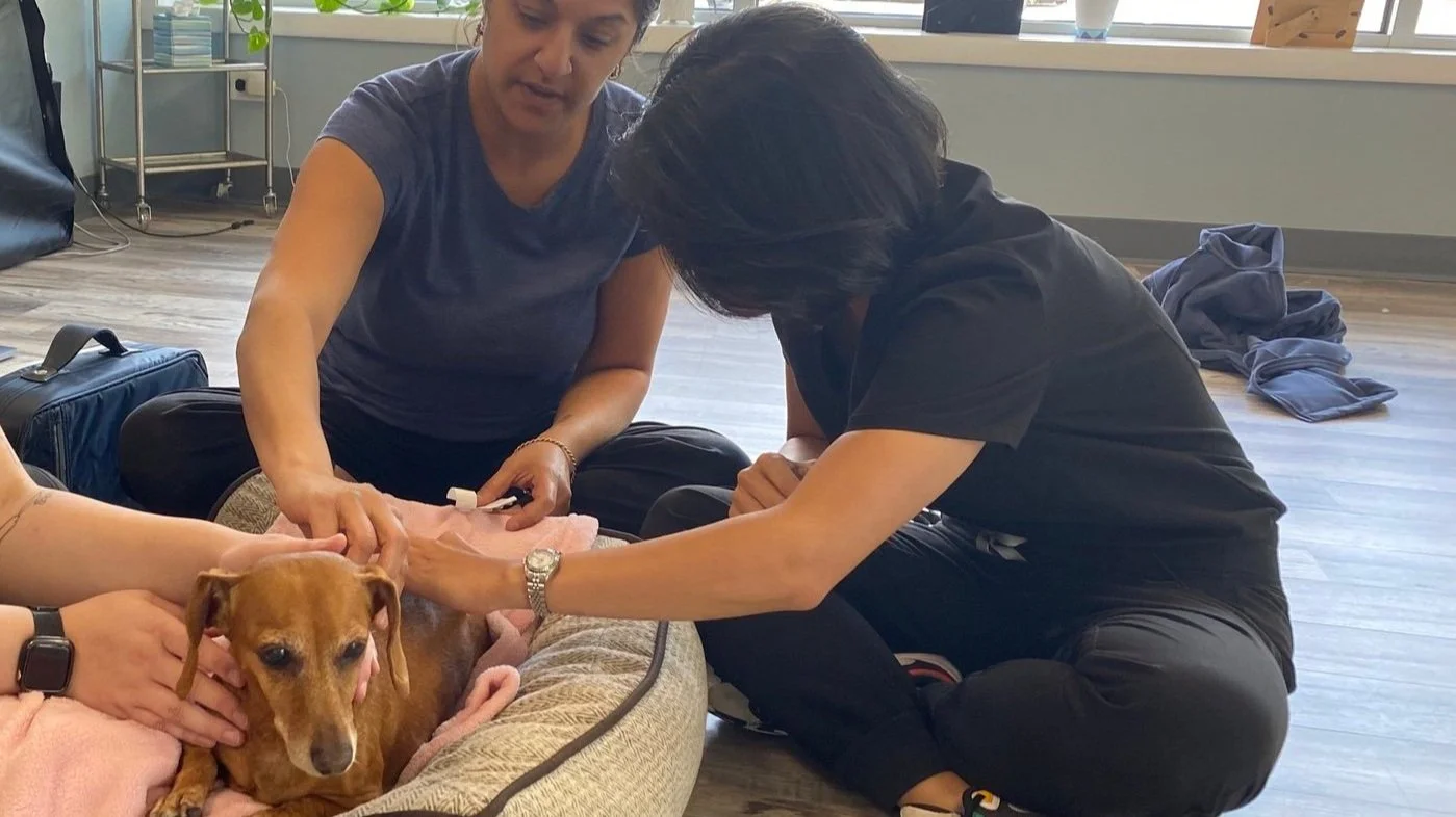 How Integrative Therapies Help The Brain