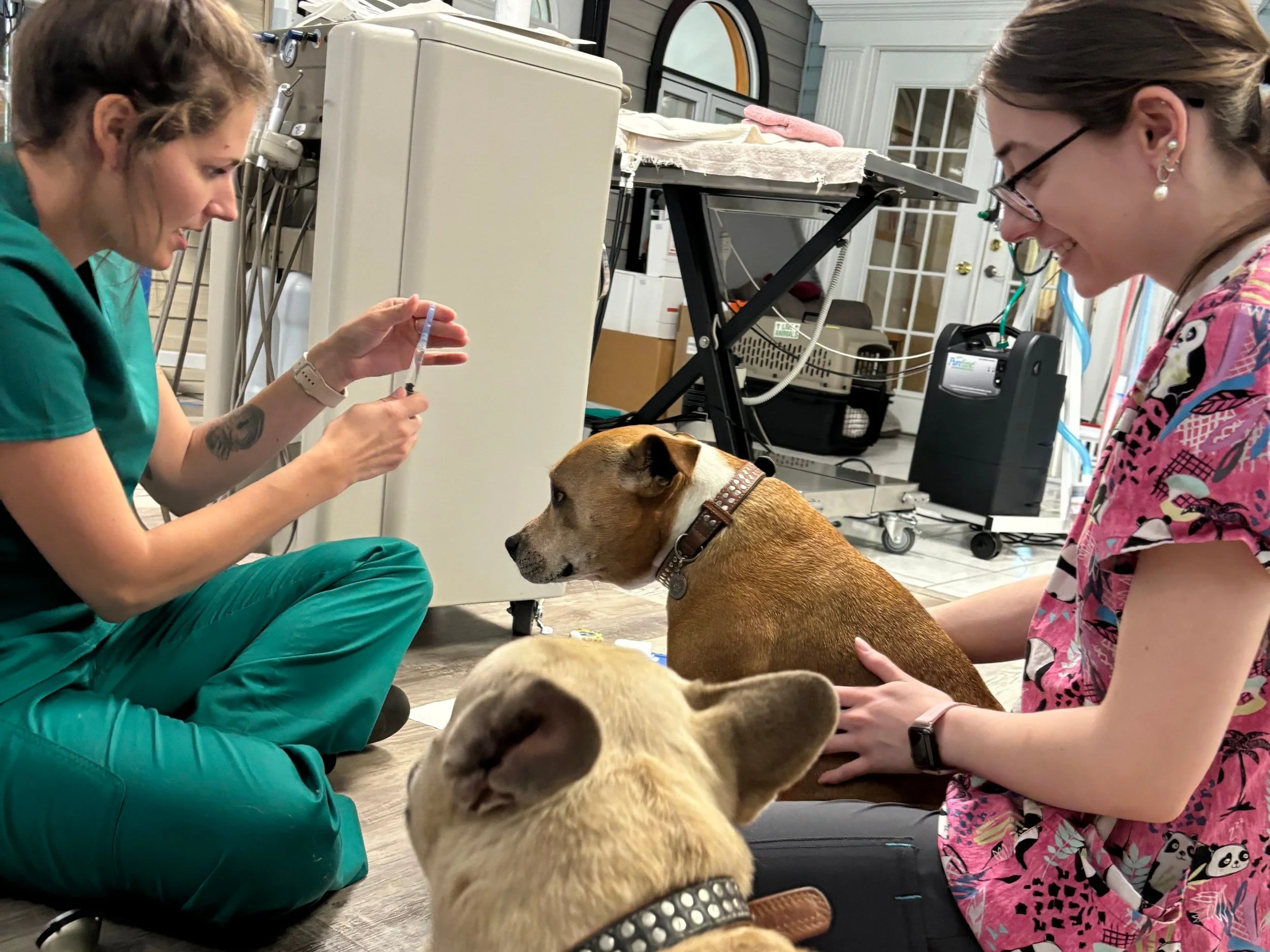 When To Consider a Specialty Consultation