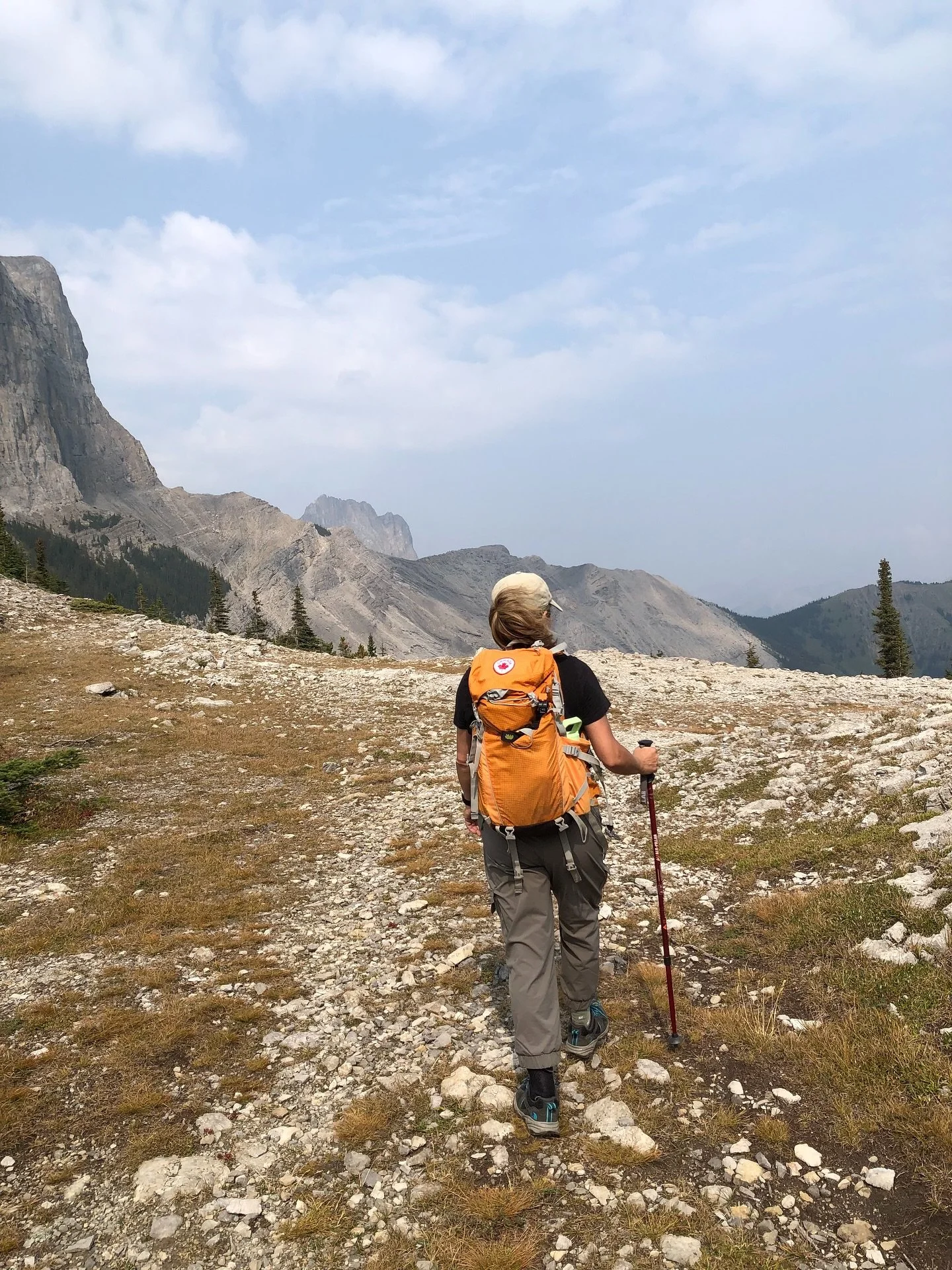 I never imagined that at my 50&rsquo;s I&rsquo;ll be enjoying more being alone or just with a few friends walking in nature. My body feels so different but not in a bad way, just more at peace and determined, not fragile though in pain. Then you see 