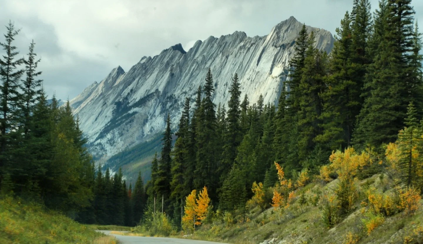My beloved Kananaskis country, an 1 hour from Calgary, into the Rocky Mountains of Alberta. Canada 🍁