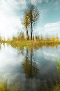1. LIMINAL-PHOTOGRAPHY-REFLECTIONS.jpg