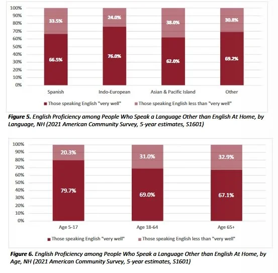 figures-5-6-language-brief.jpeg