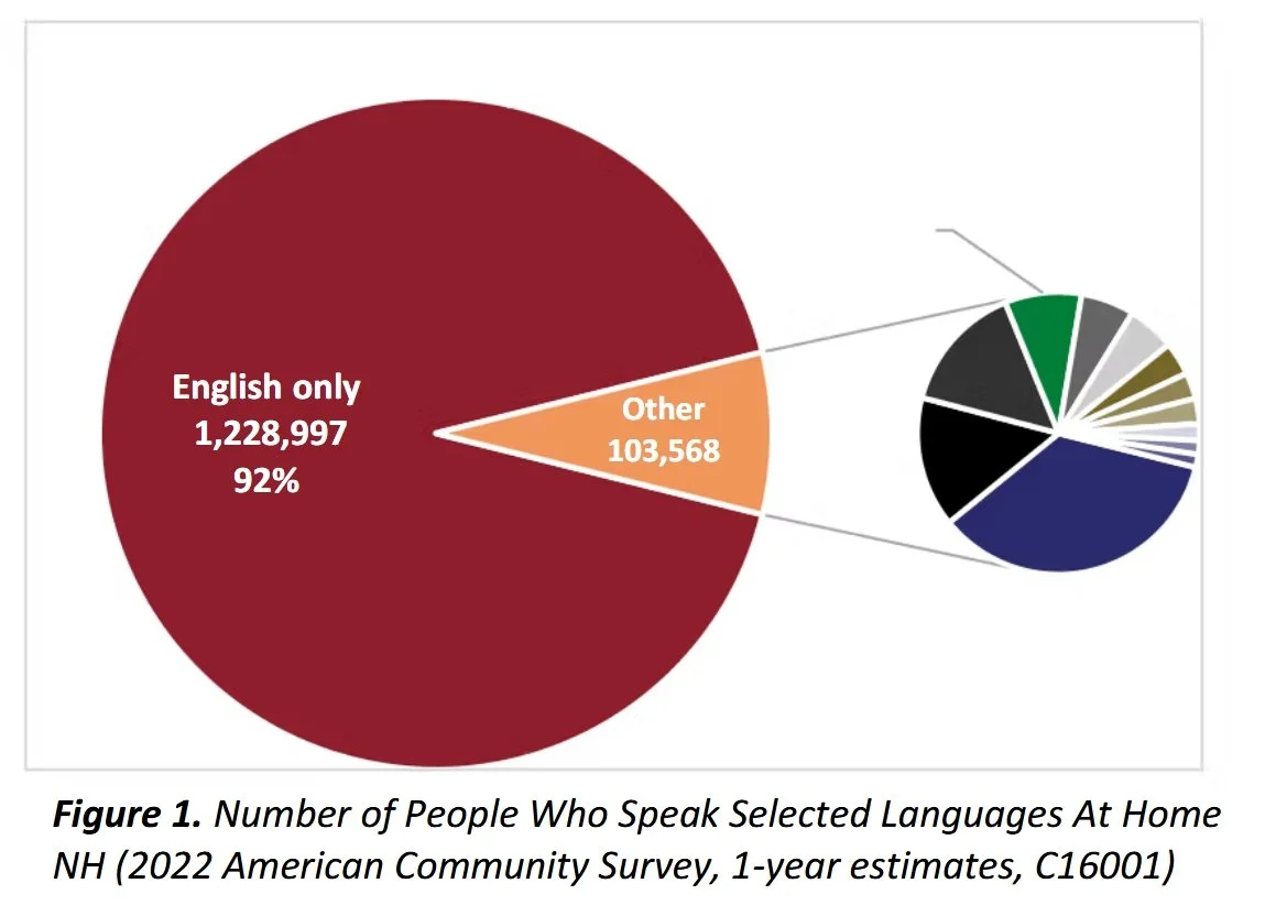 figure-1-language-brief.jpeg