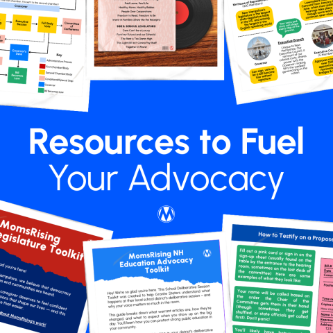 MomsRising created a set of toolkits designed to make civic engagement more accessible, more human, and more empowering for people at every starting point. Some of these resources are statewide.