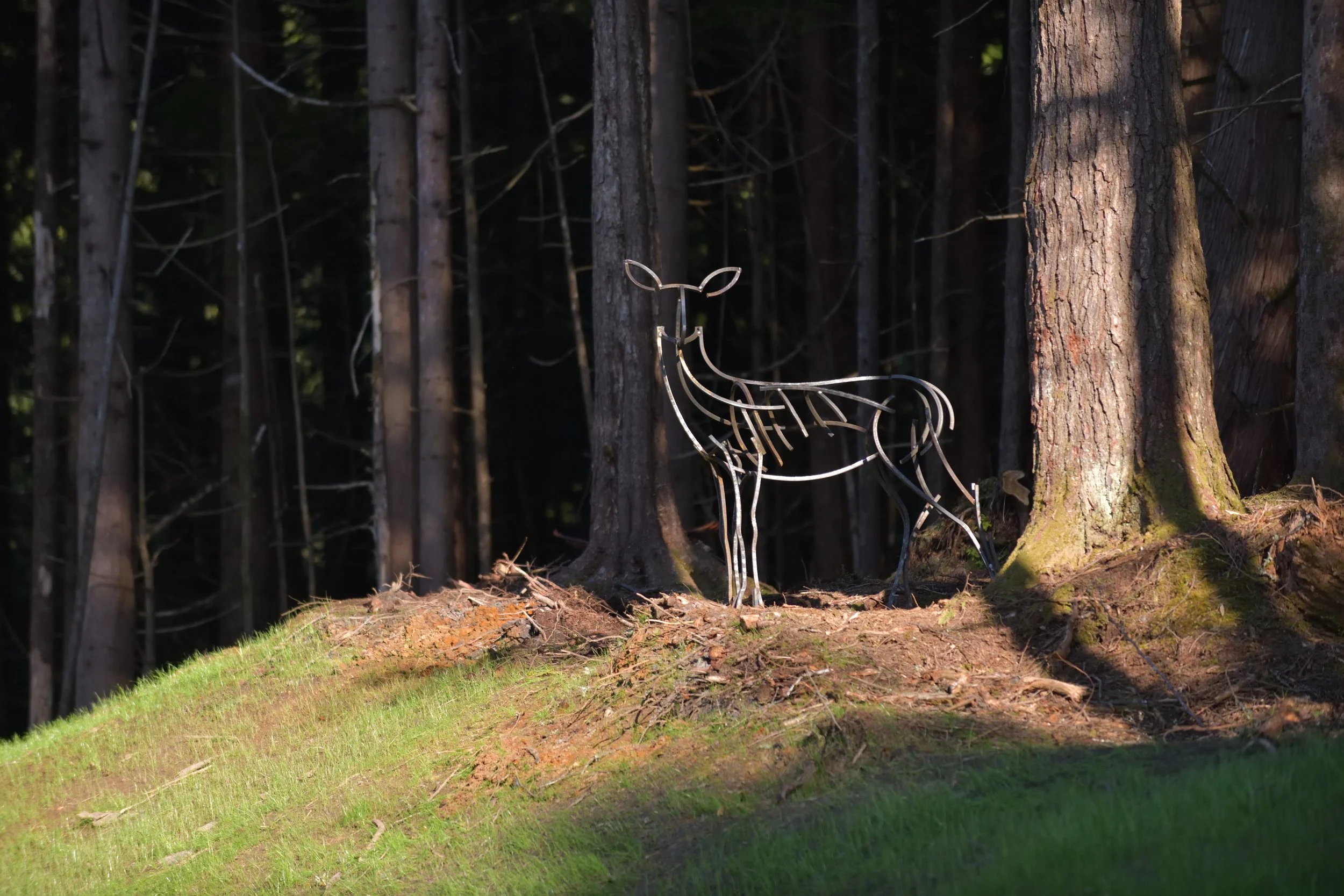 Hammy the deer Prince Rupert