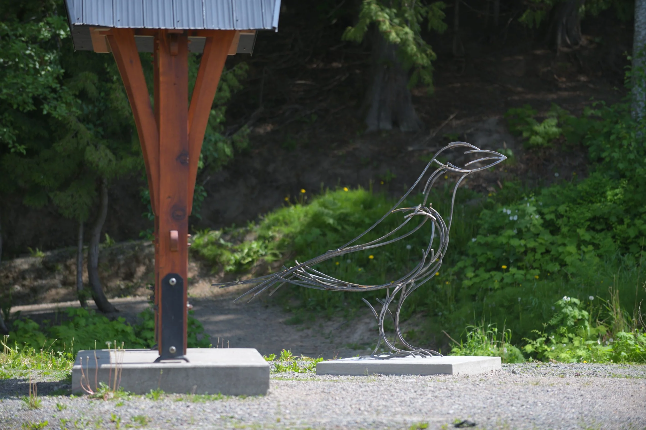 Mountain bike trail art
