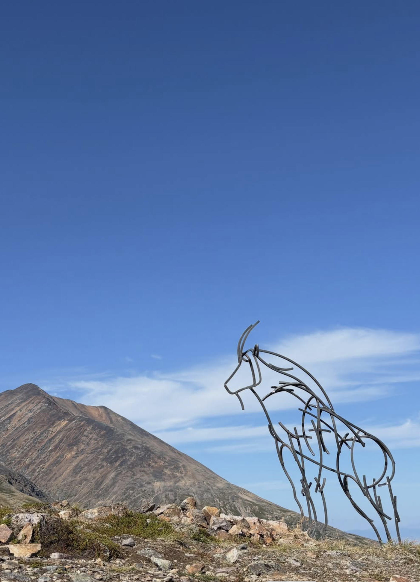 Mountain Goat Sculpture Installed on Hudson Bay Mountain