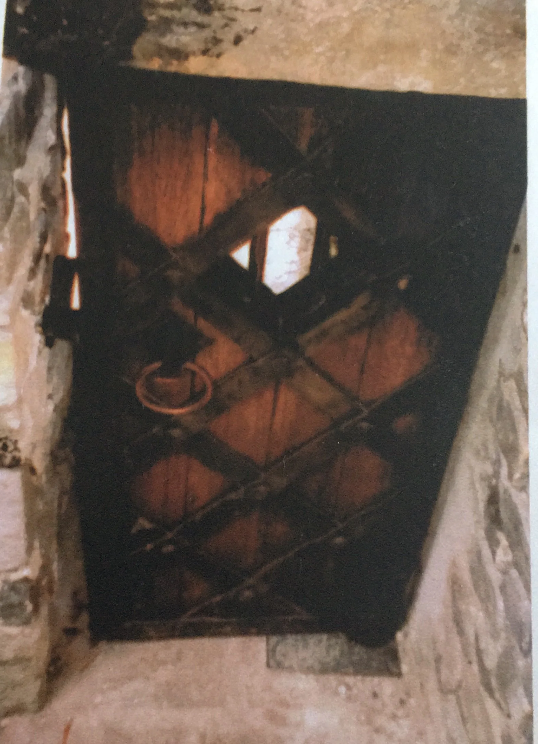 Oak and steel strapped door