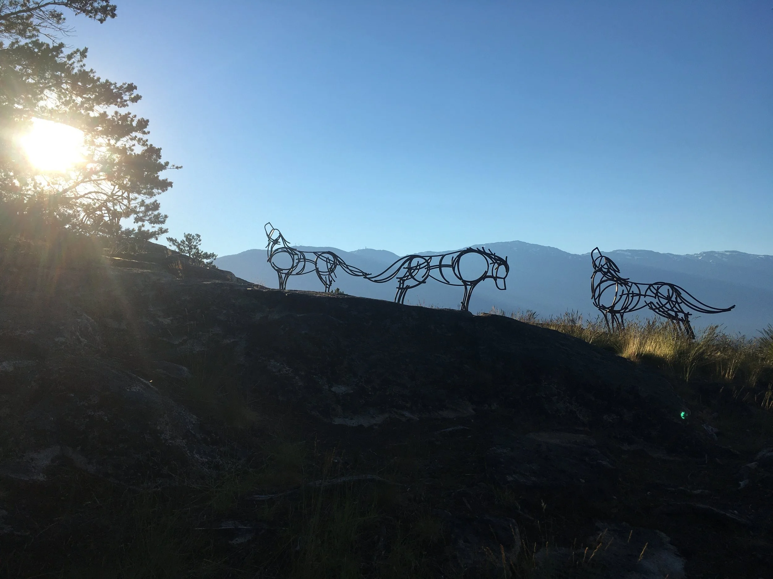 First light shines on wildlife sculptures in BC