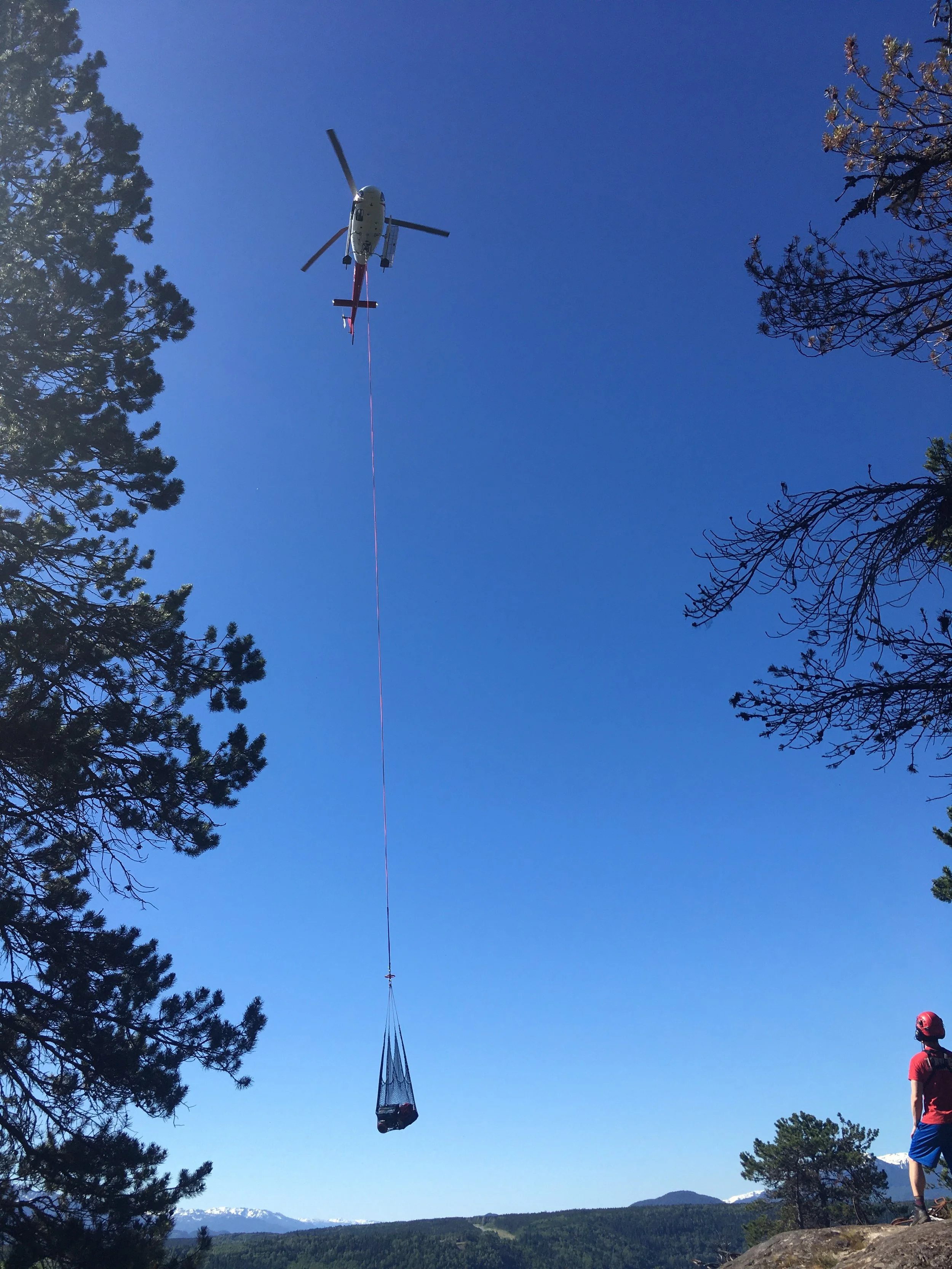 helicopter long lining wolf sculptures into place