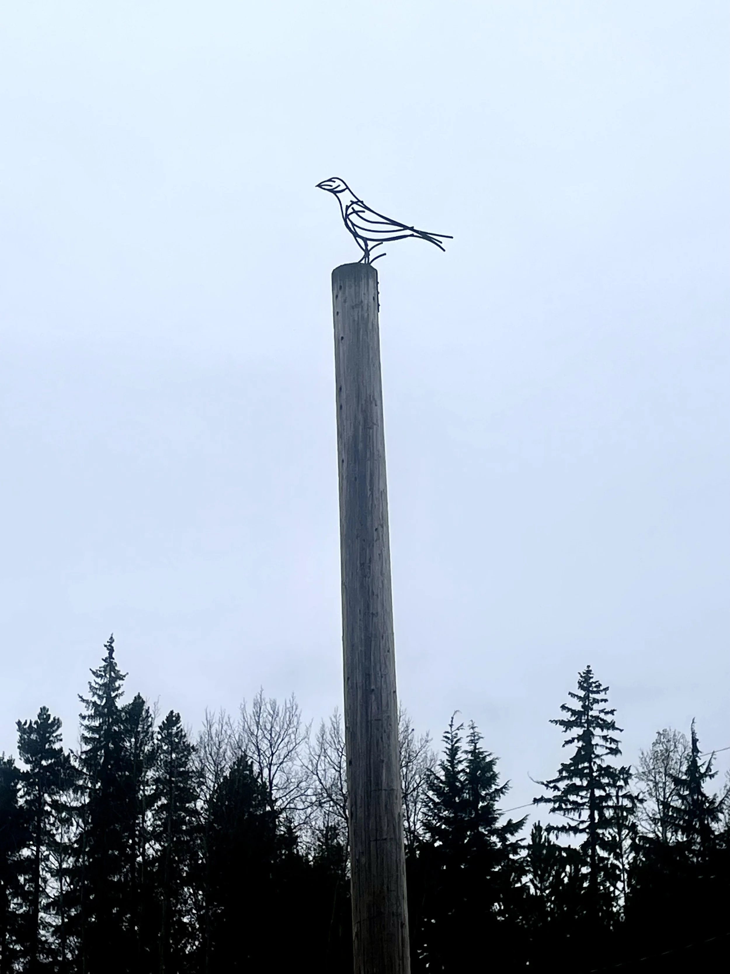 Raven Sculpture Rosswood general store