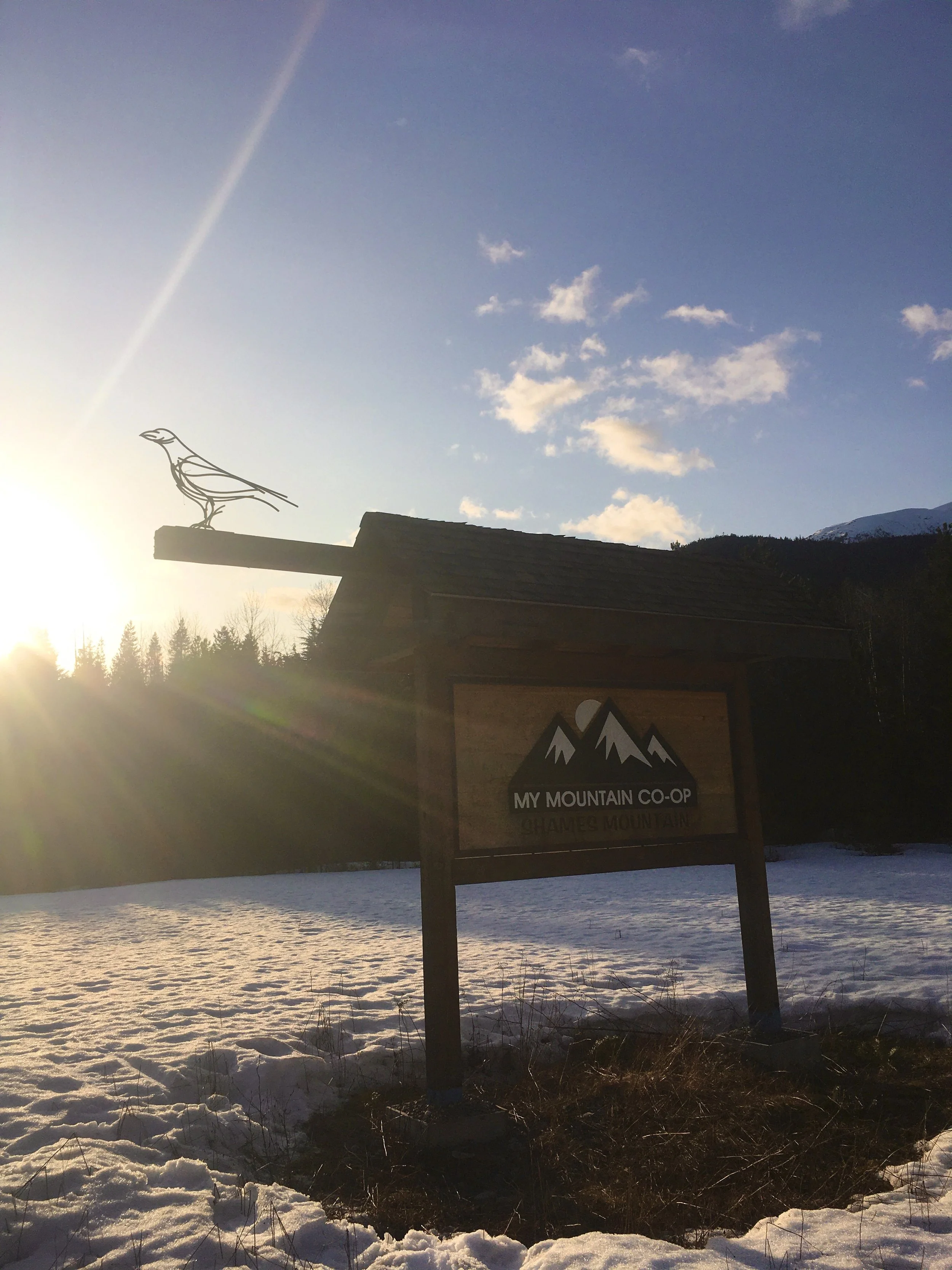 Raven Sculpture, shames mountain