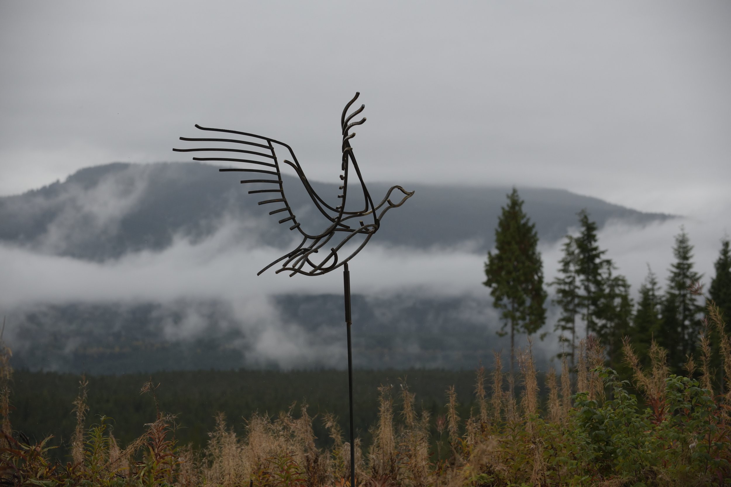 DSC_2386_00004.jpg