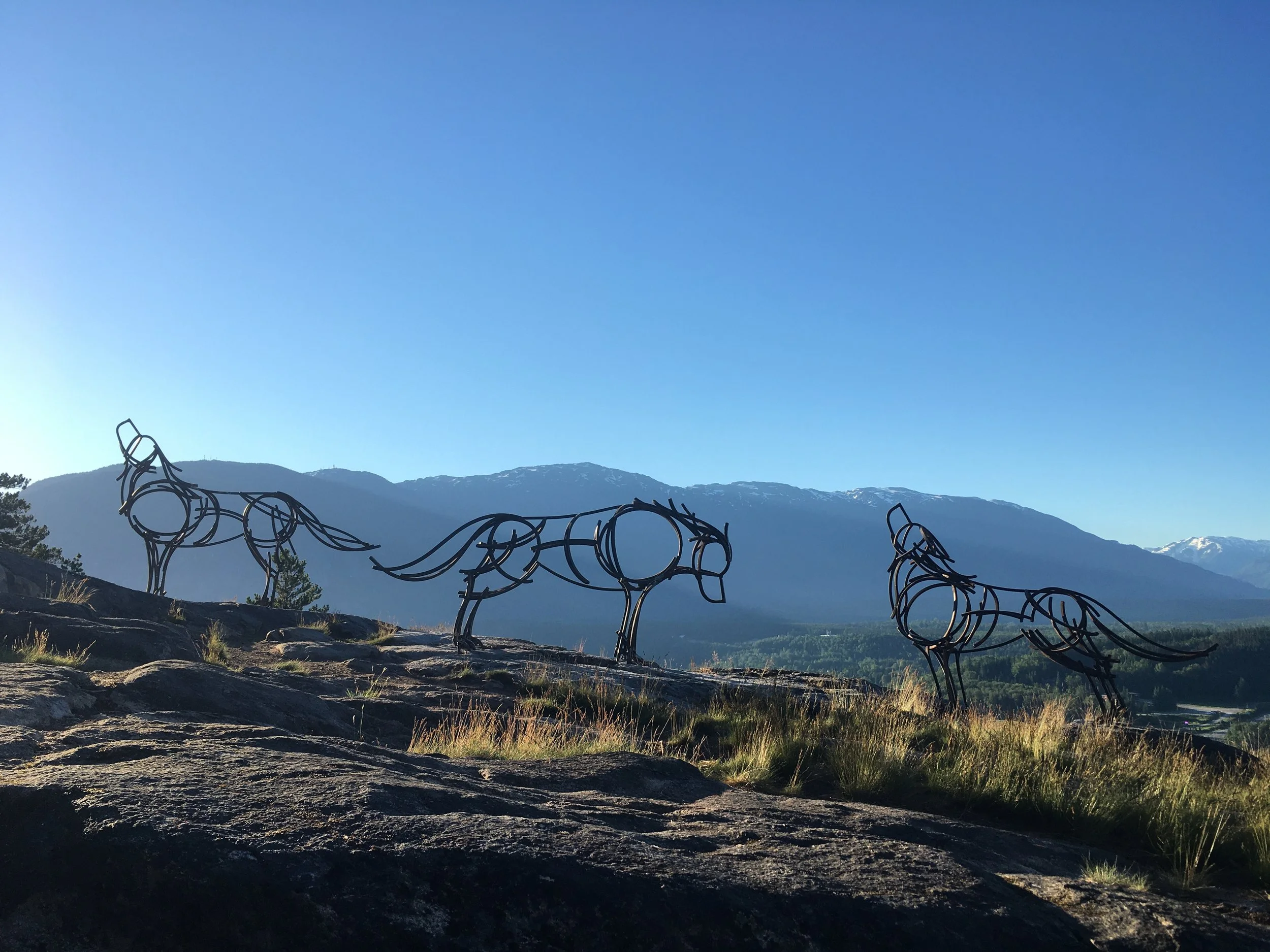 Terrace mountain wolf sculptures