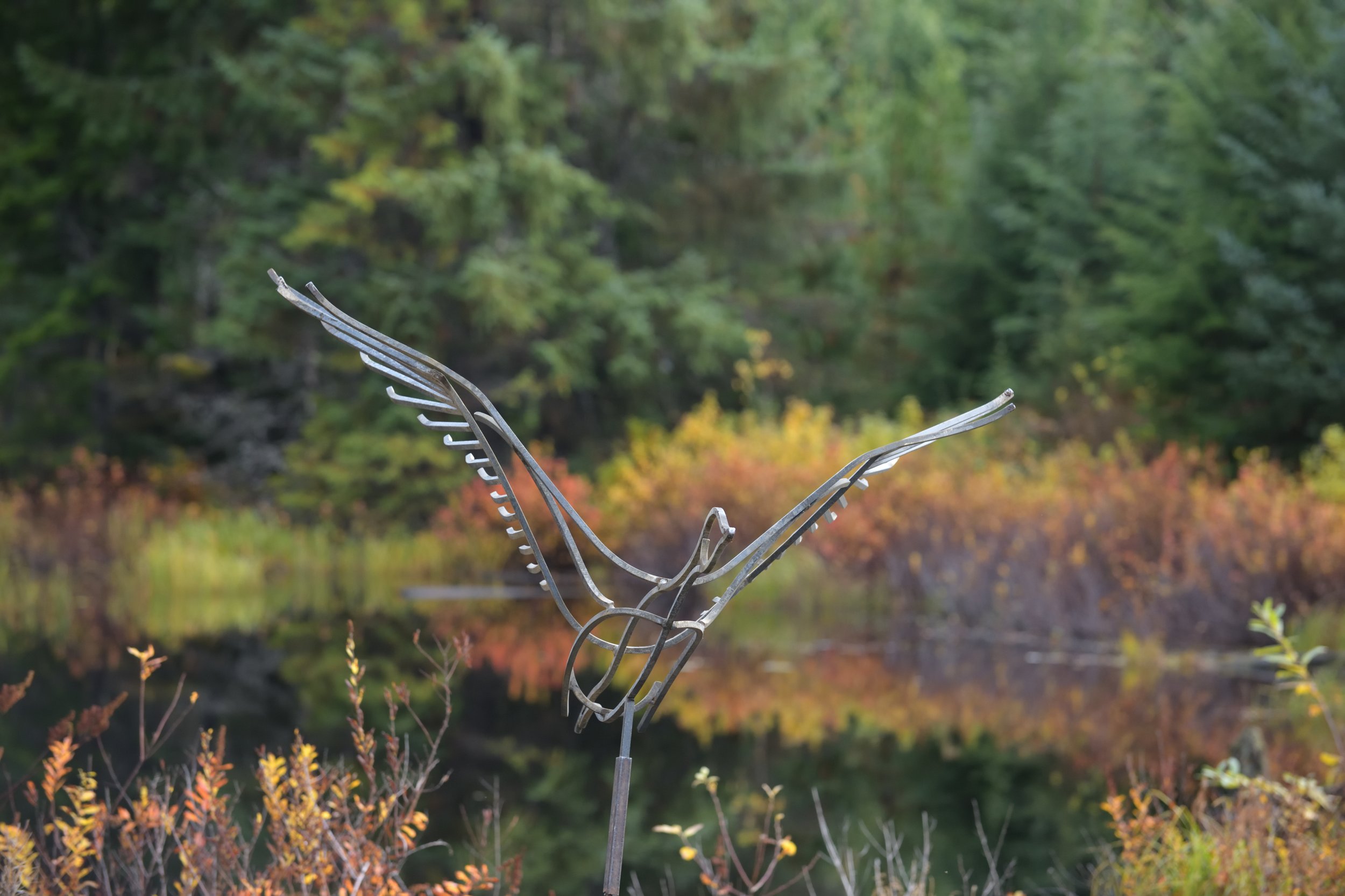Flying Canada geese art