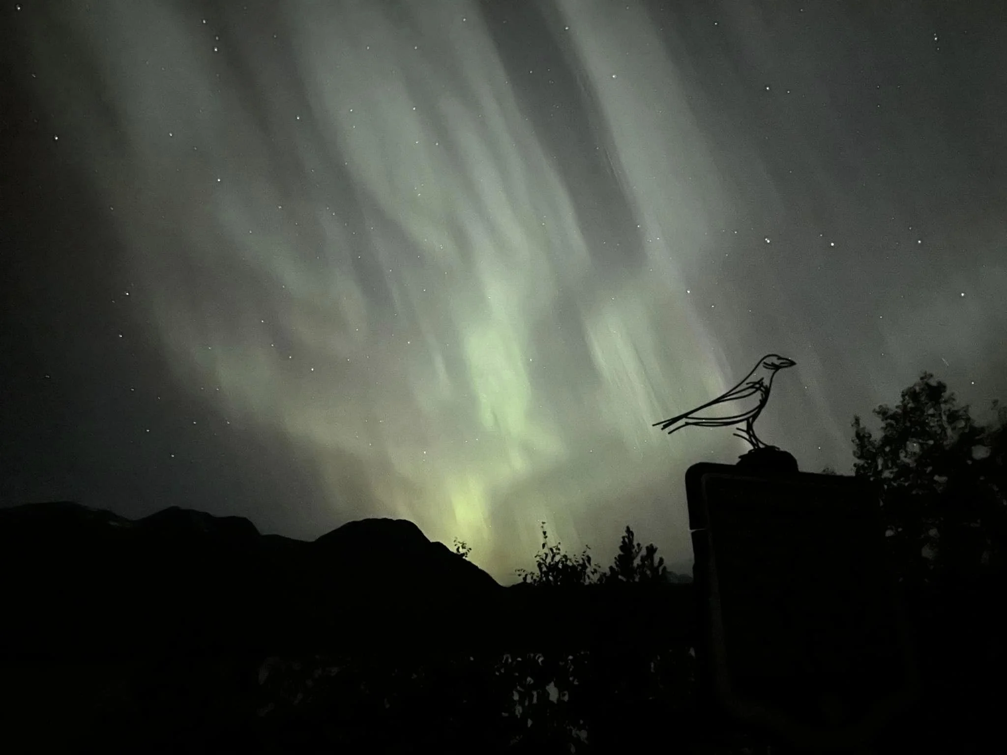 Raven sculpture under the northern lights