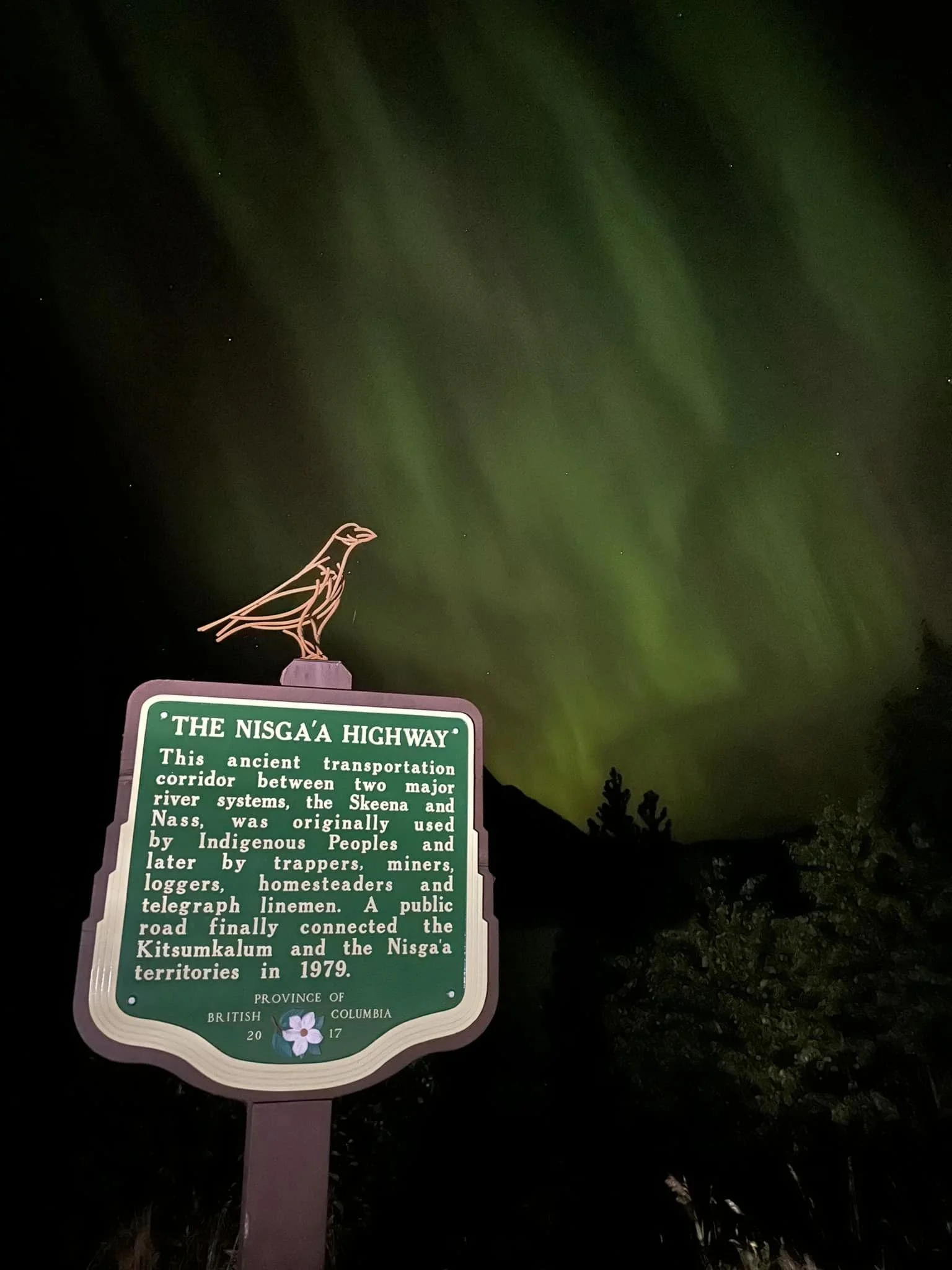 Raven northern lights sculptures