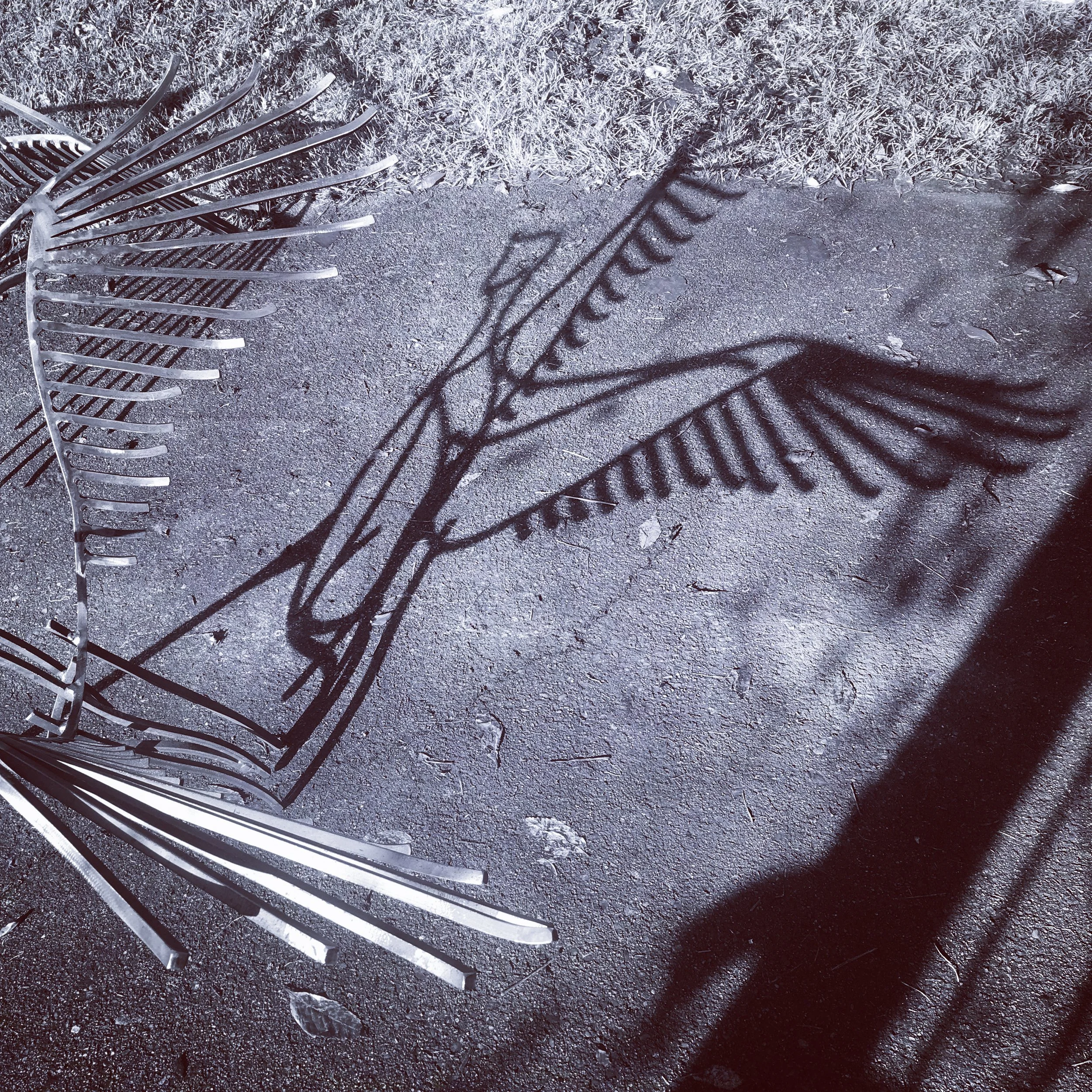 Bird sculpture