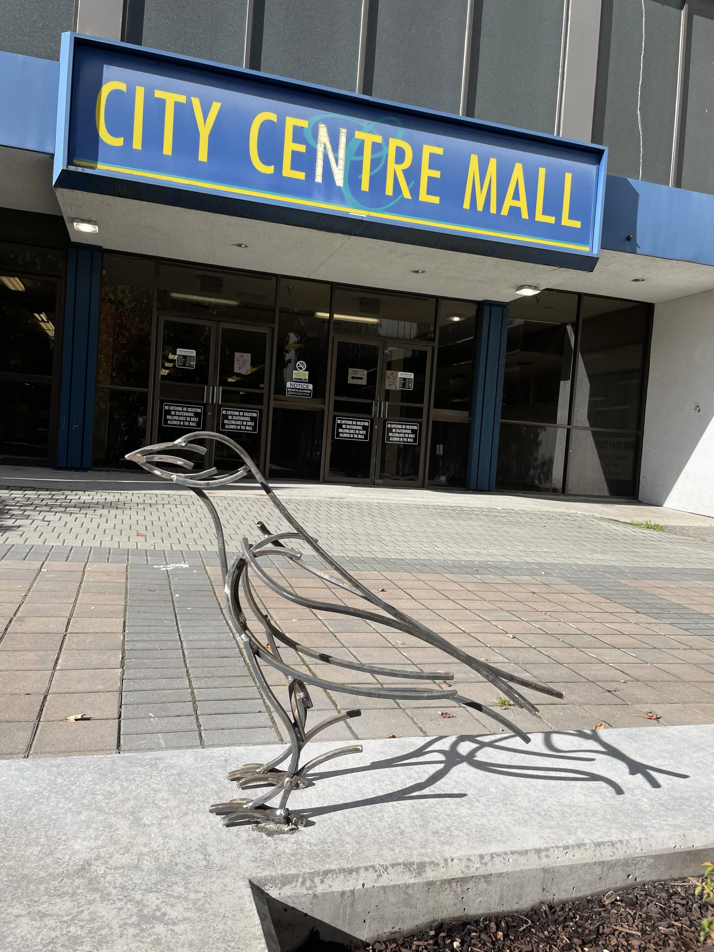 Raven sculpture installation in Kitimat town centre