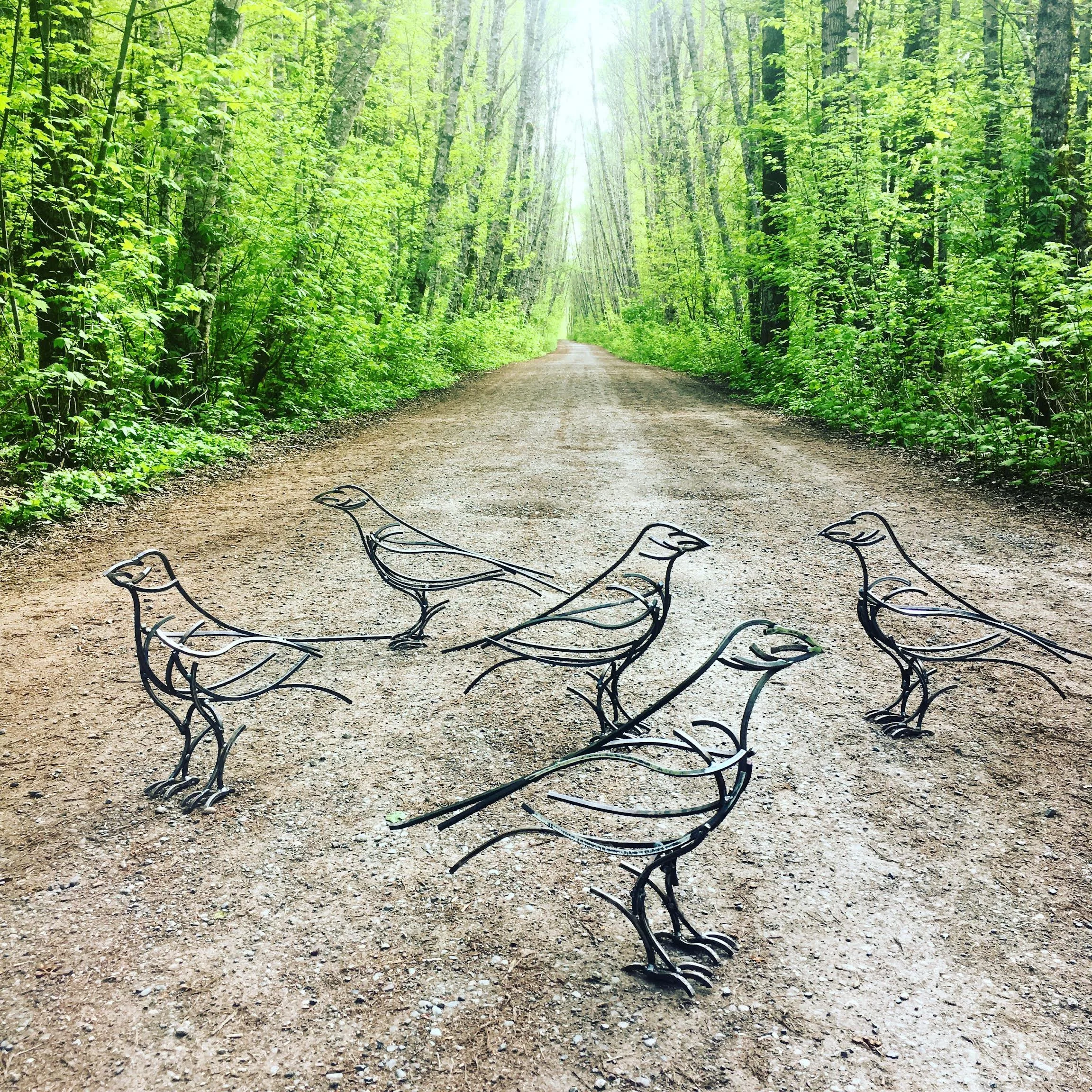 Raven Sculptures at Ferry Island Terrace BC