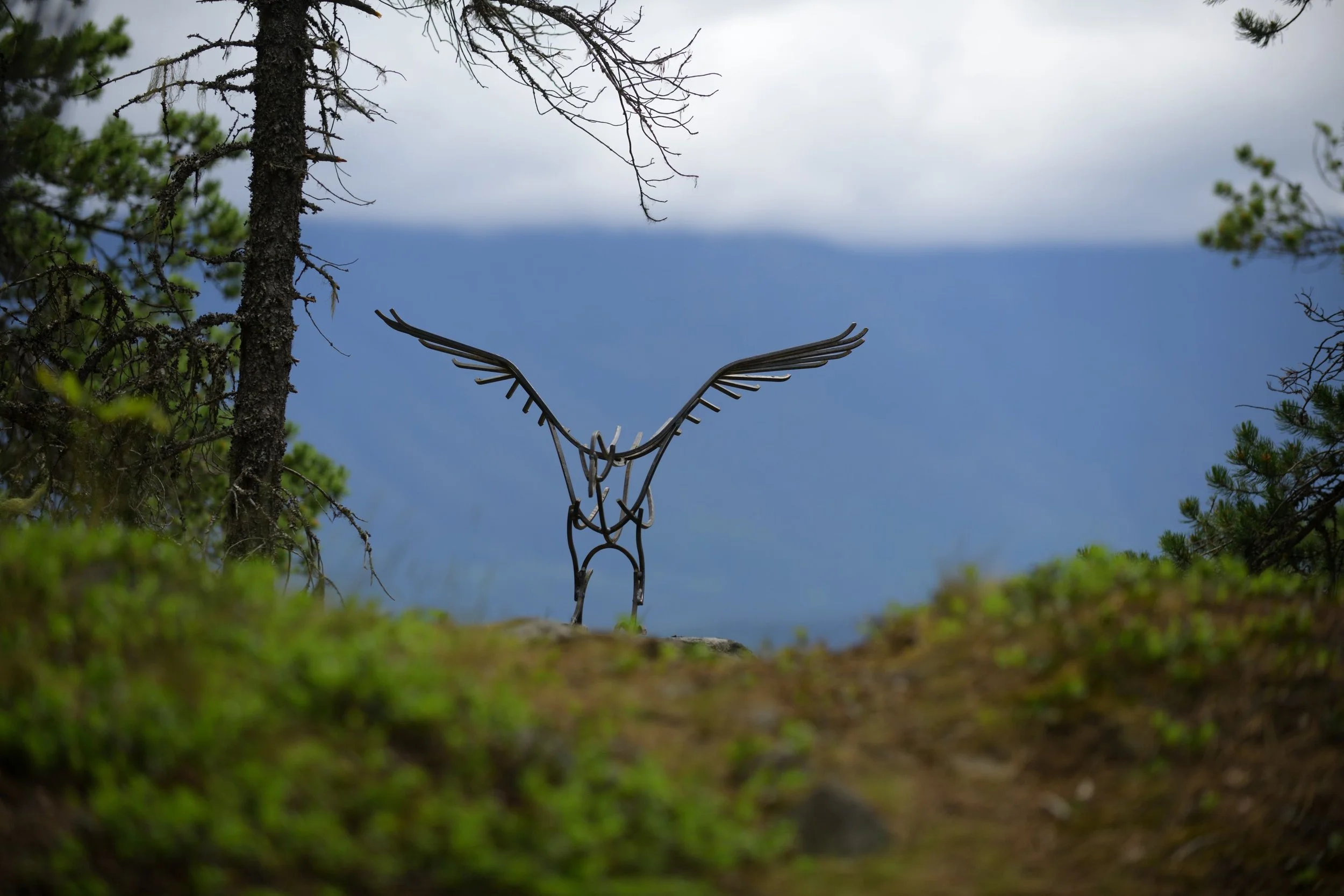 crow art installation