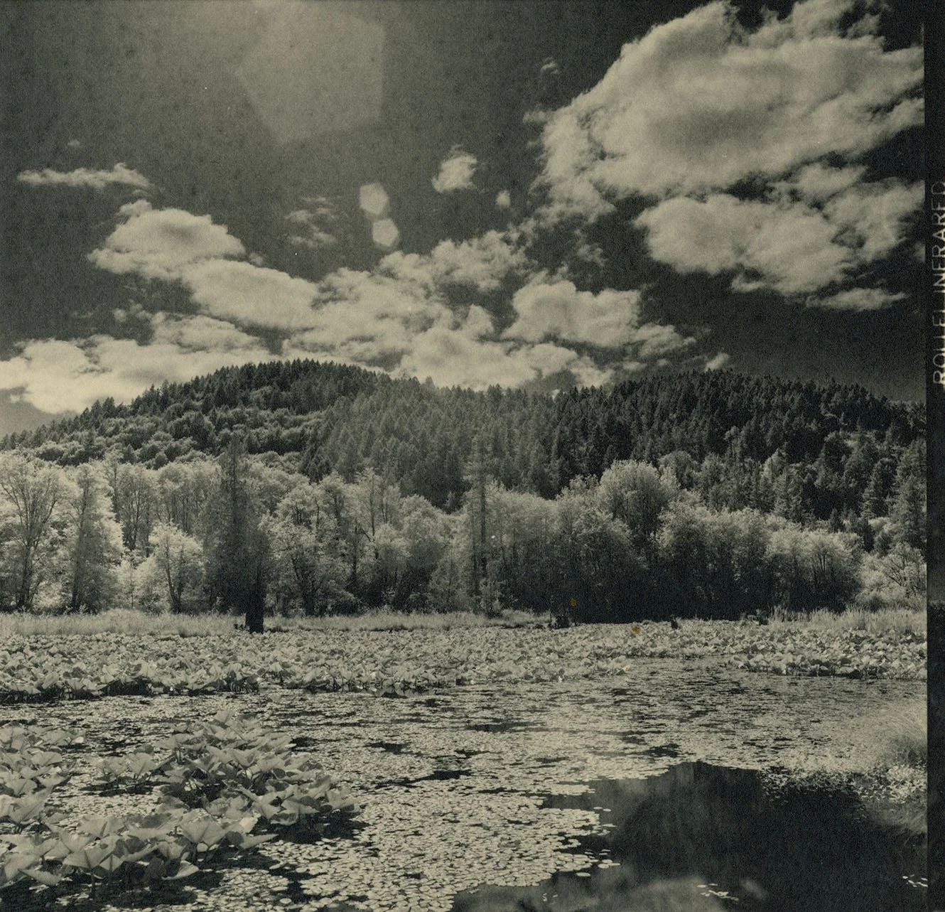 infra red 07:21 .120230726_19502979.jpg