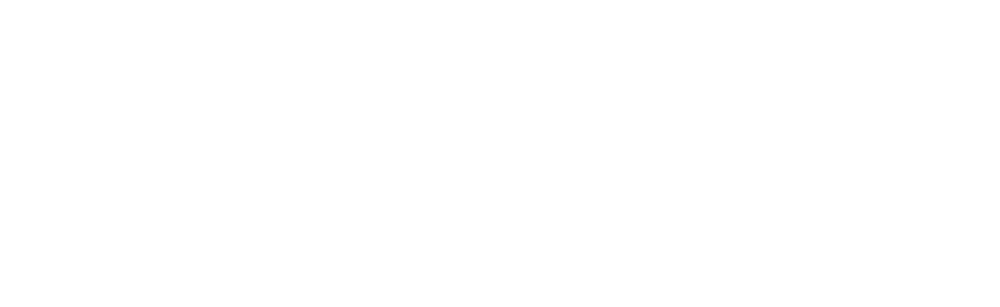 Company logo image Footer