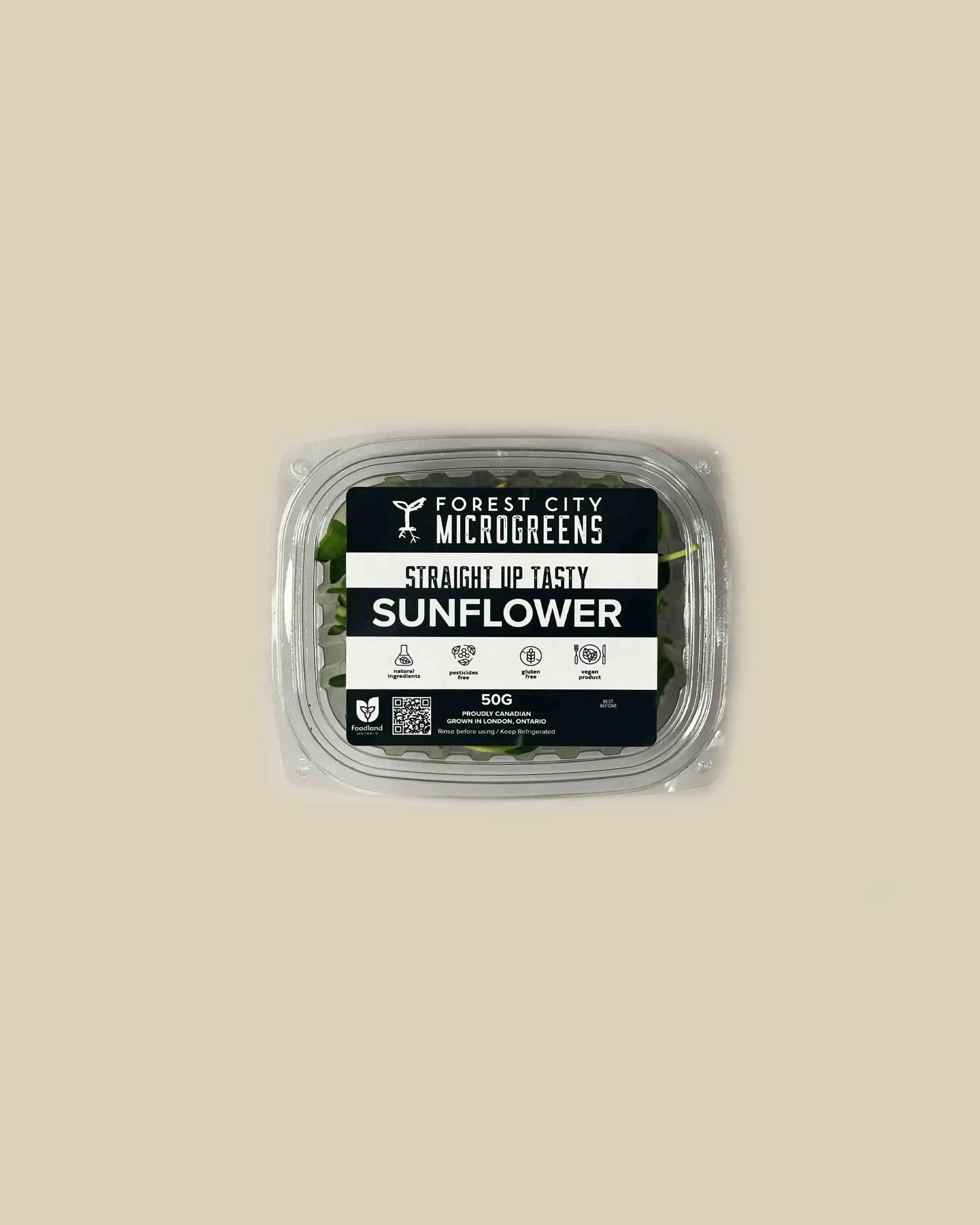 Plain Aesthetic Glass Barbecue Containers
