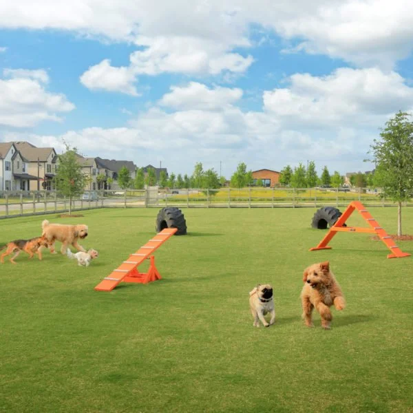 Dog-Park-Obstacle-Course-600x600.jpeg