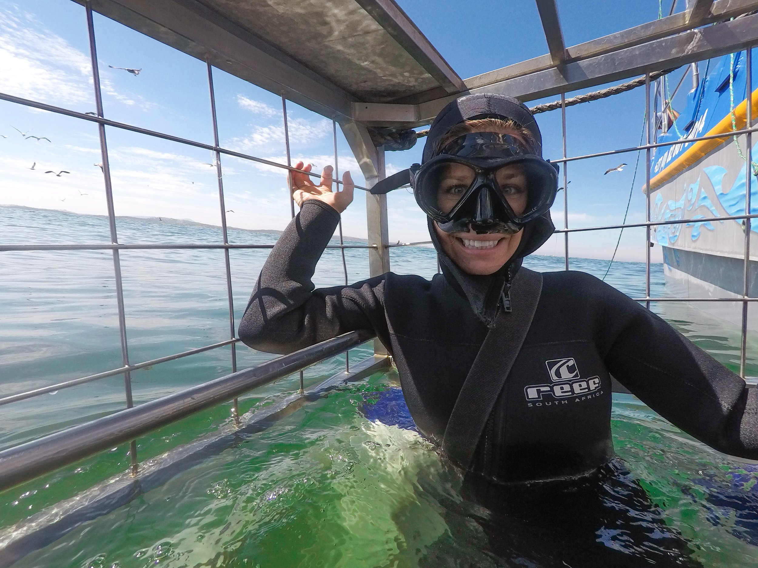 Cage diving with great white sharks in South Africa.