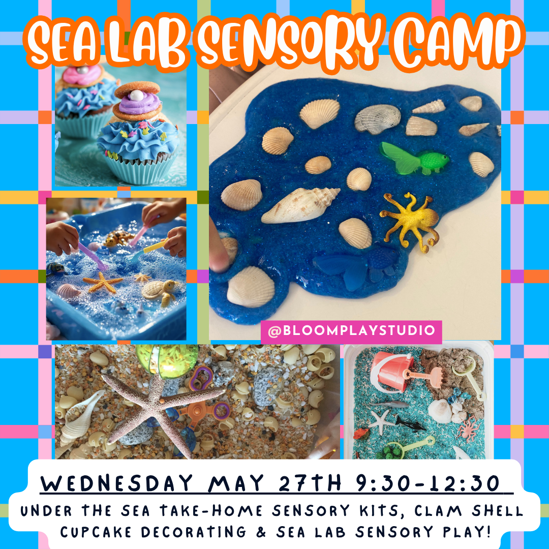 Wednesday May 27th: Sea Lab Sensory Camp featuring Under the Sea Take-home Sensory Kits, Clam Shell  Cupcake Decorating & Sea Lab Sensory Play!